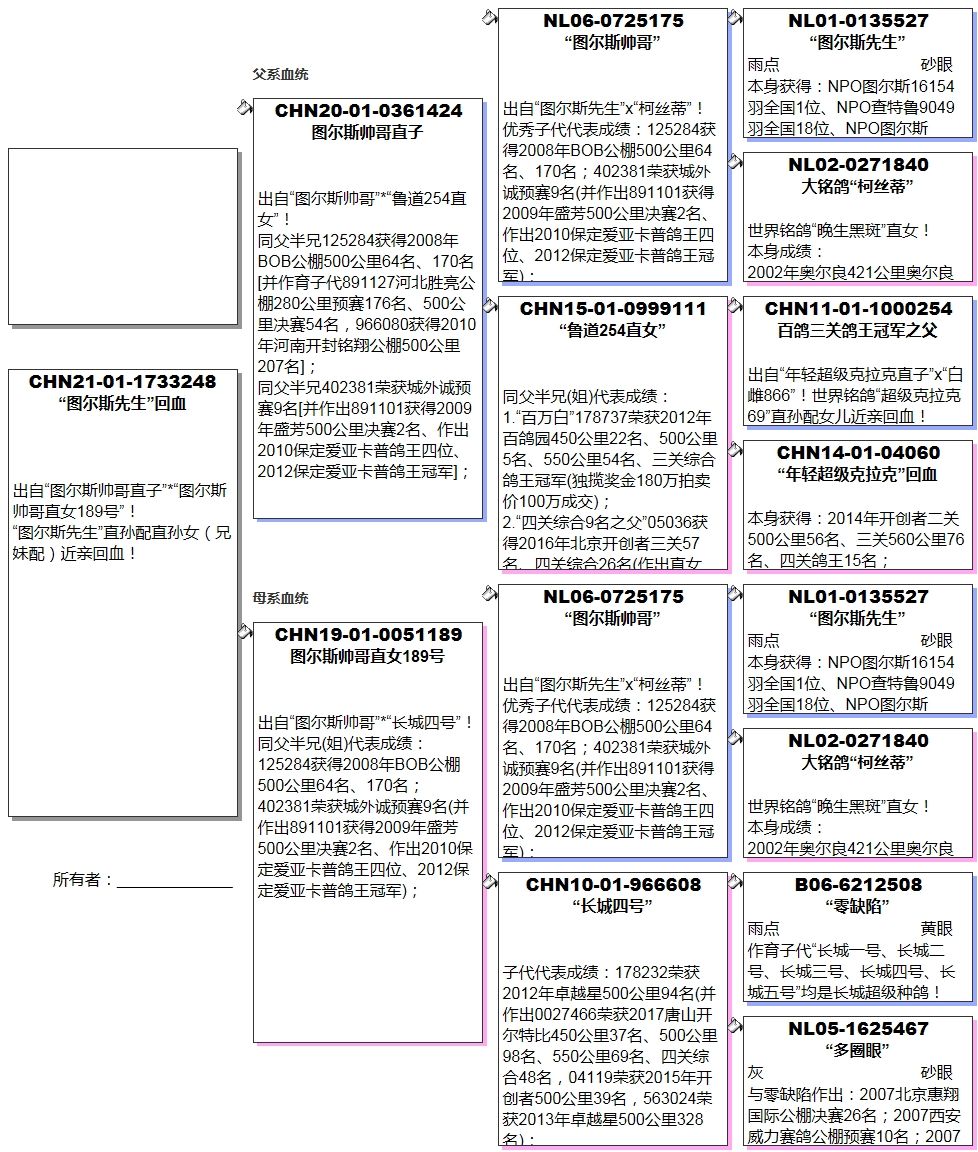 长城鸽业 - 中信网铭鸽展厅