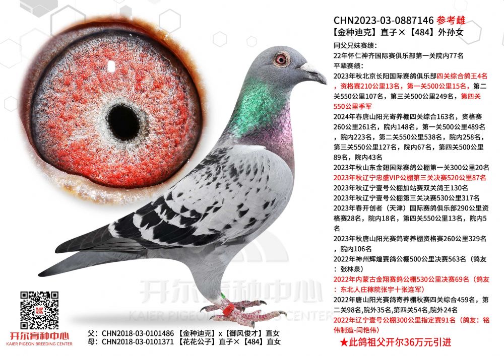开尔鸽业 - 中信网铭鸽展厅