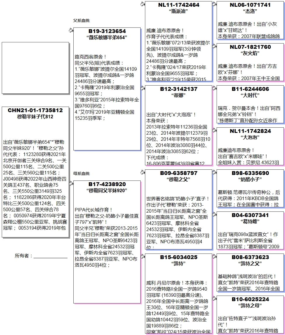 中国长城鸽业图片