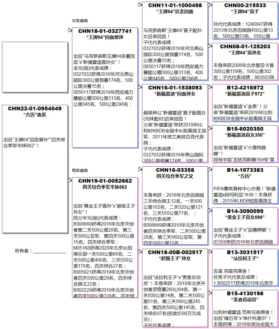 北京刘昆英鸽舍种鸽图图片