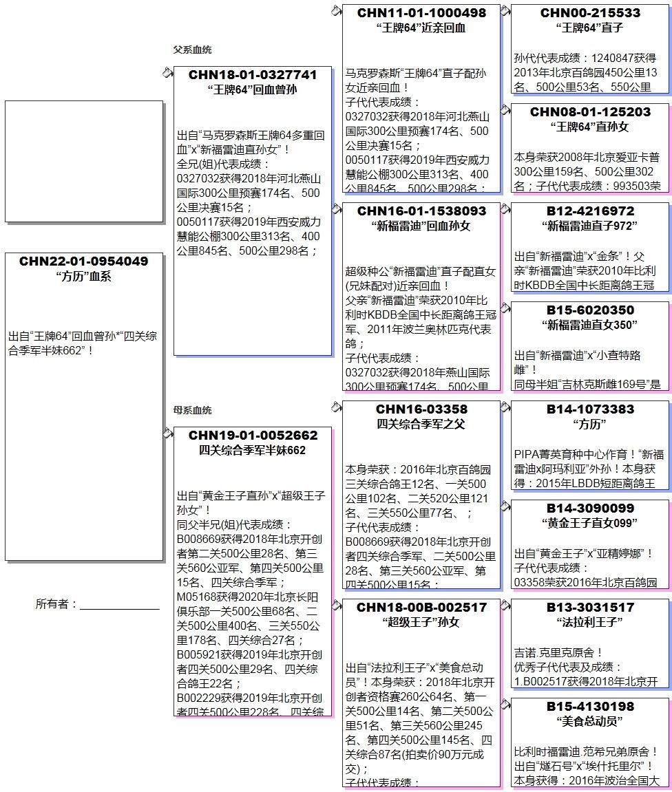 长城鸽业 - 中信网铭鸽展厅
