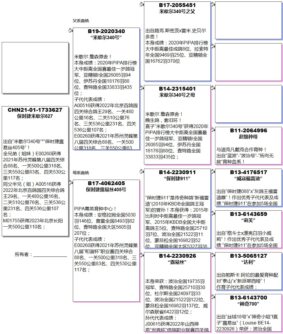 信鸽在线拍卖平台 - 中国信鸽信息网
