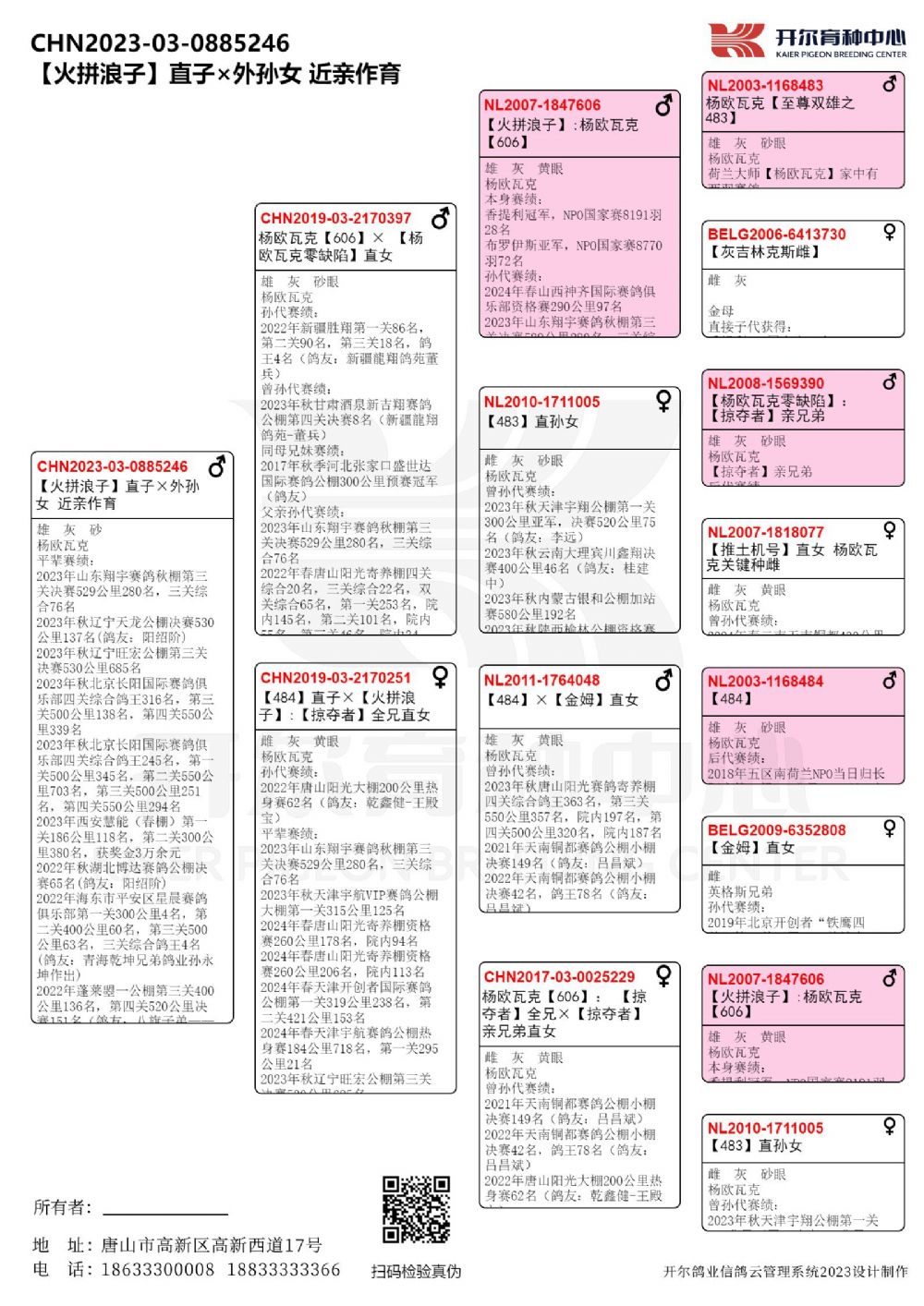 开尔鸽业展厅图片