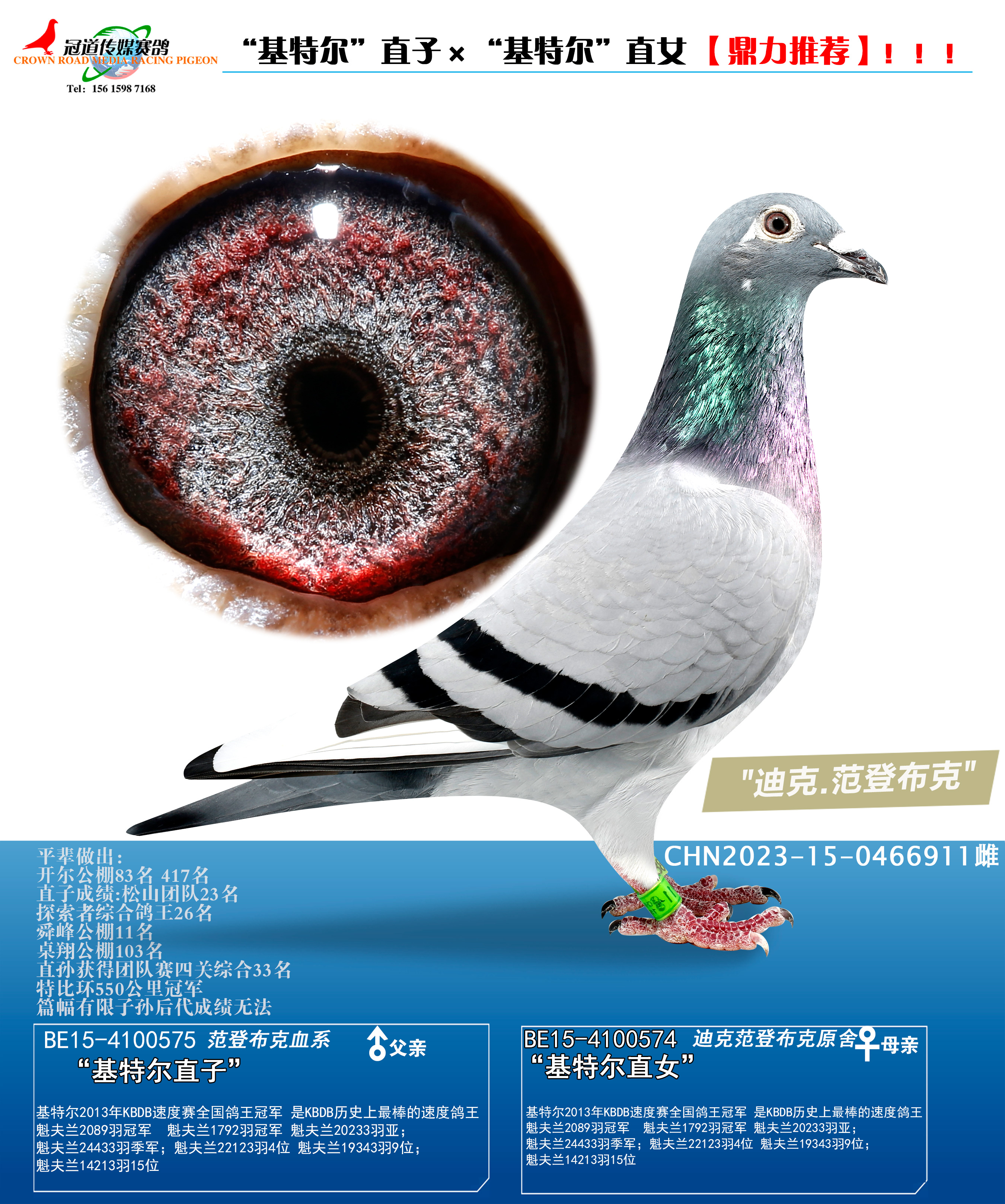 冠道传媒