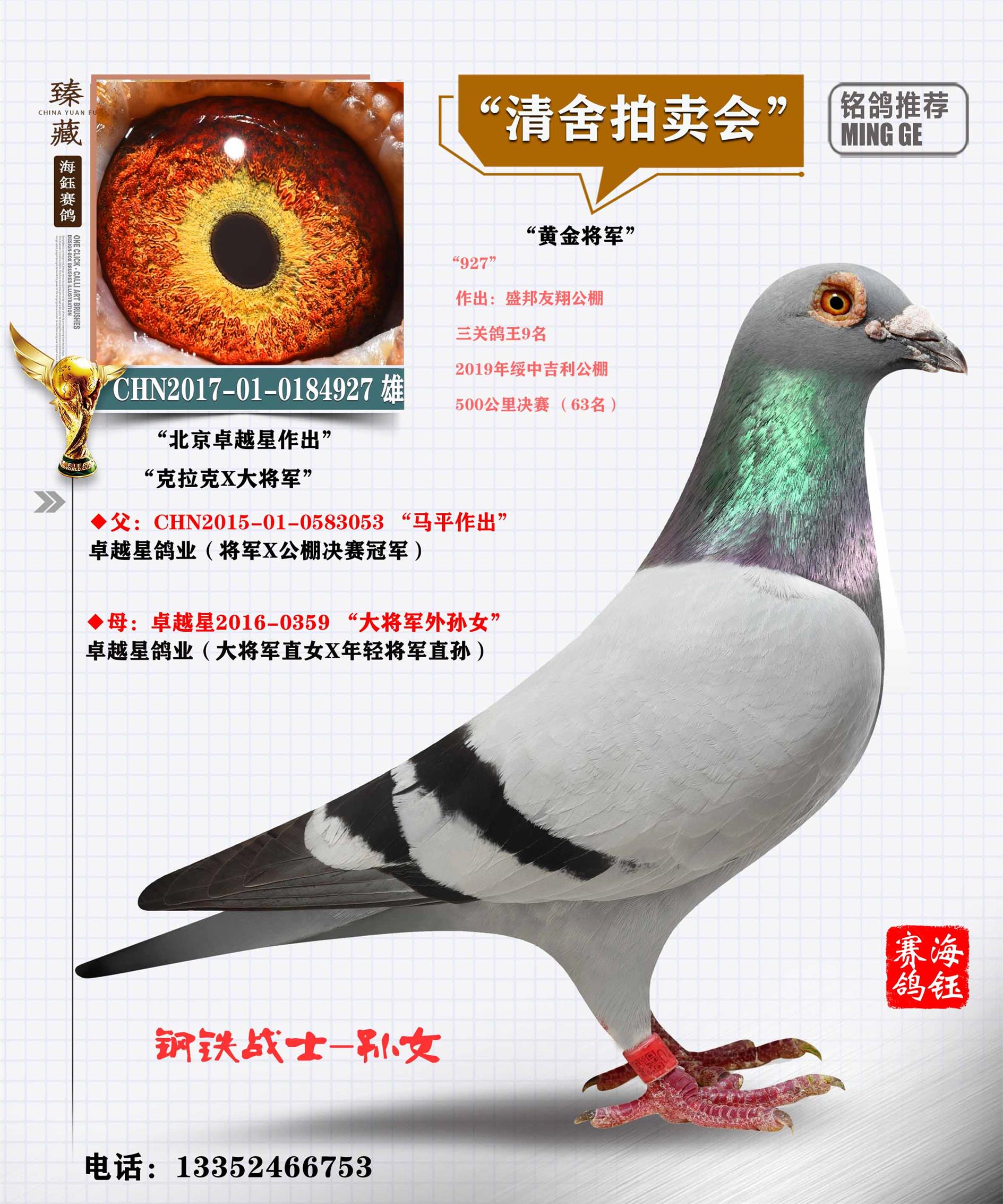 联盟国际 - 中信网铭鸽展厅