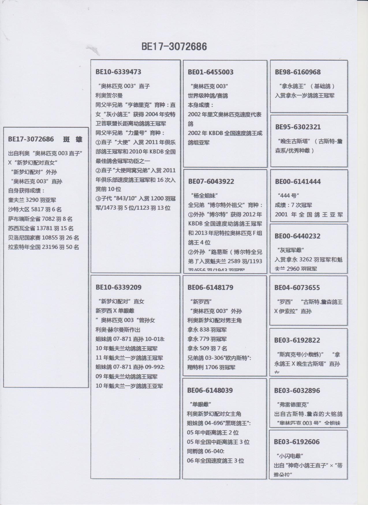 当前位置>在线拍鸽首页>拍鸽专题>查看商品原版血统书相关视频商品