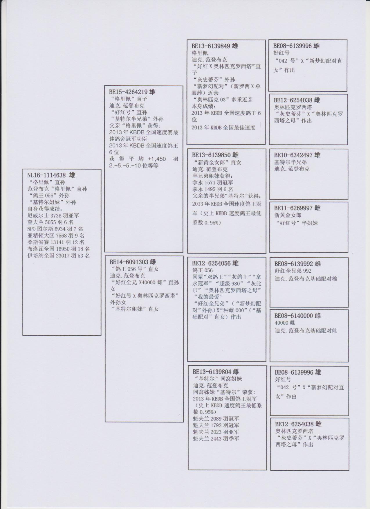 北京琨泰佳华鸽业展厅图片