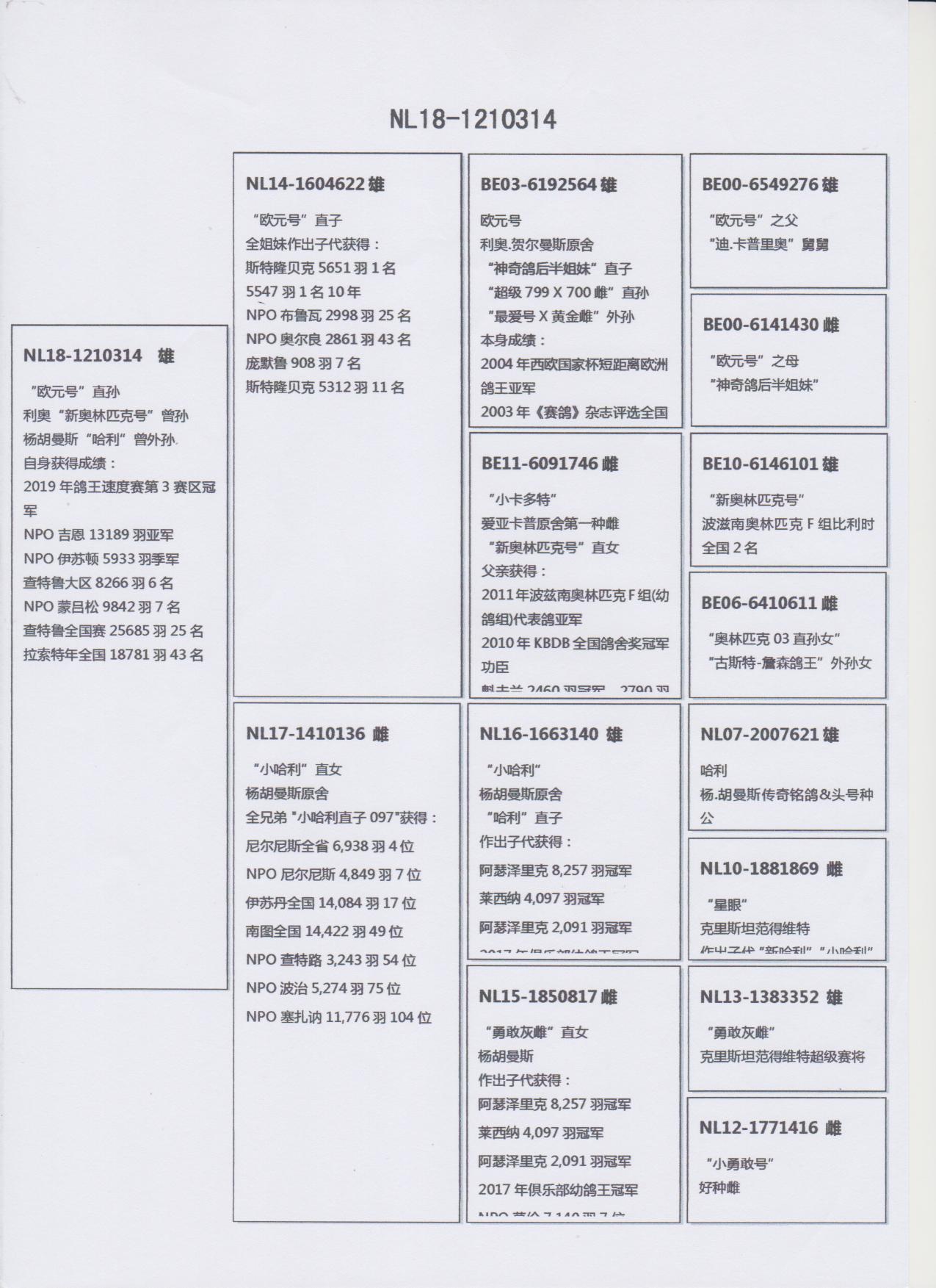北京首开鸽业 - 中信网铭鸽展厅