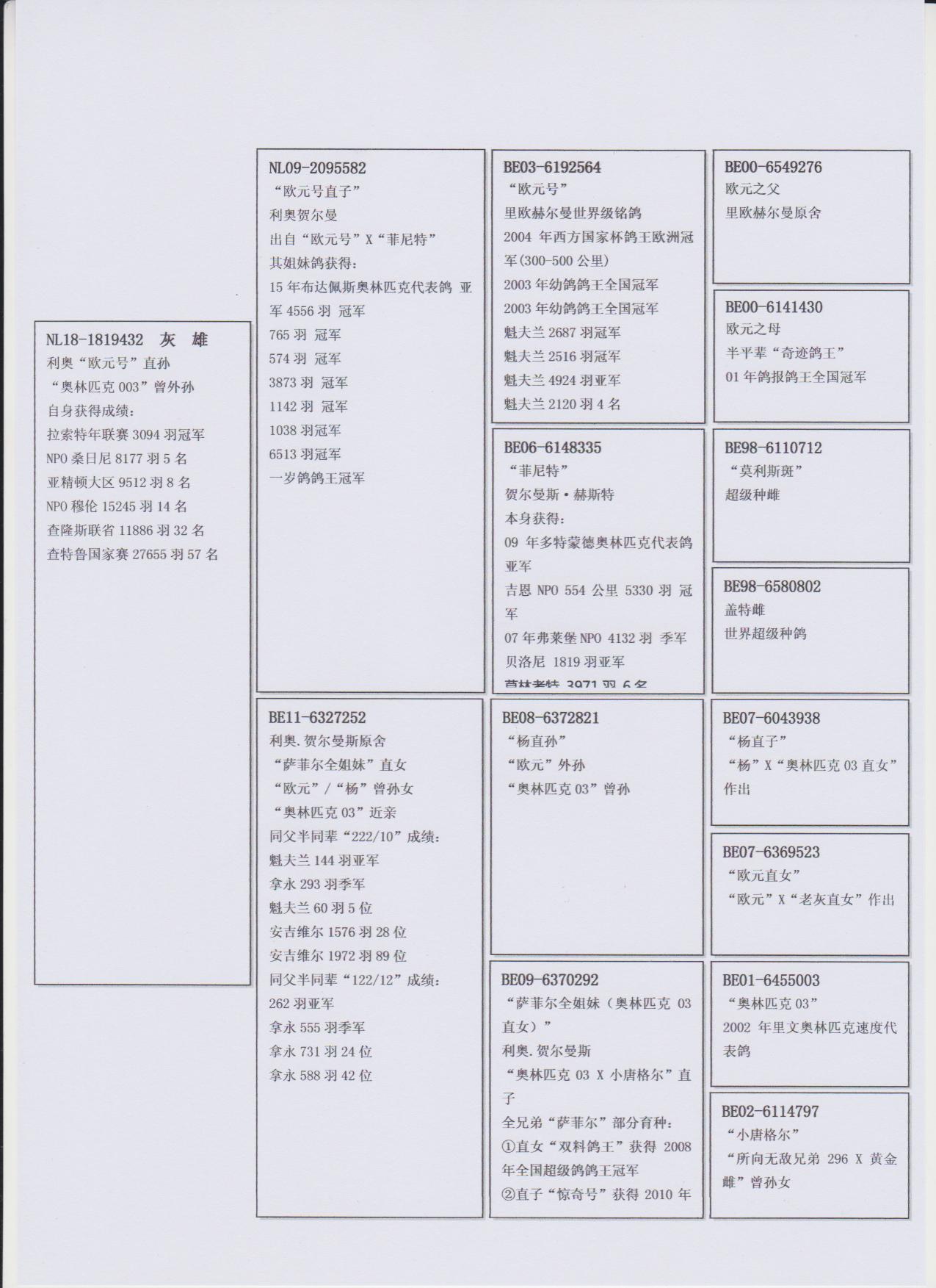 北京王永贵名鸽展厅图片