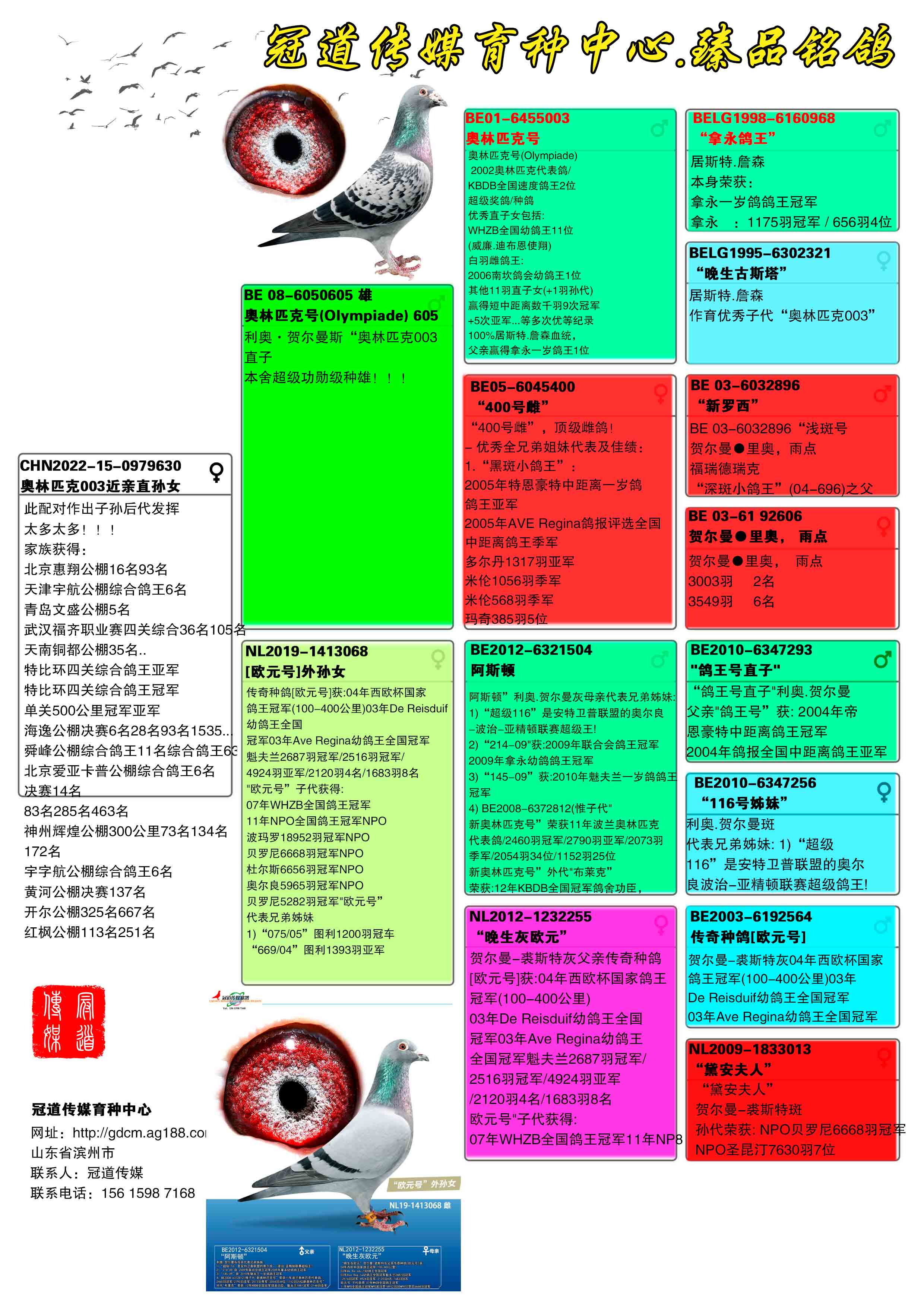 冠道传媒 - 中信网铭鸽展厅