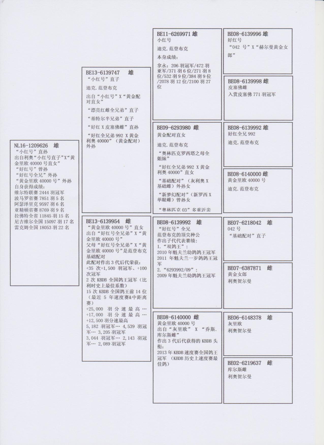 北京龙翔轩铭鸽展厅图片