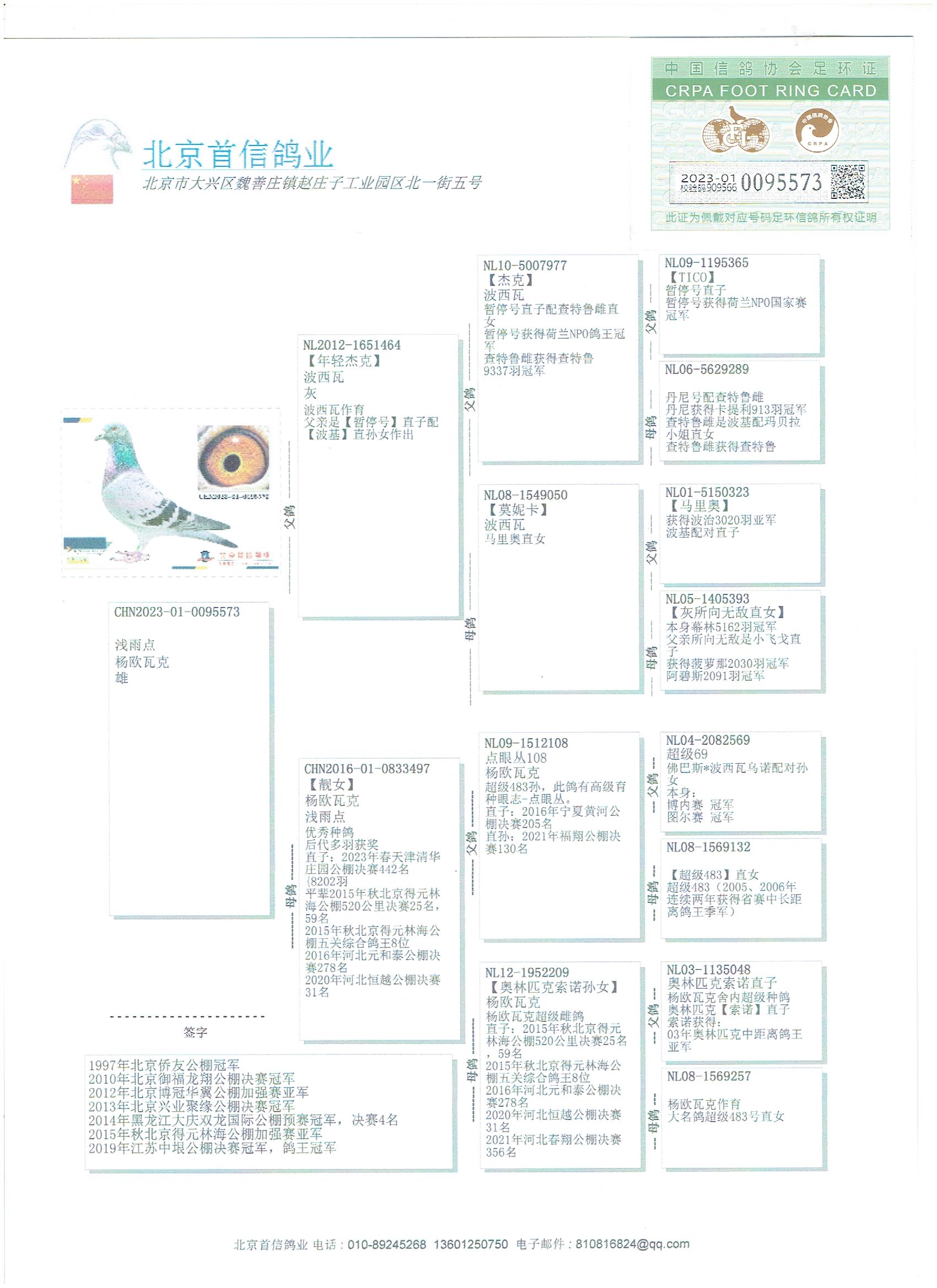 信鸽足环号查询搜鸽网图片