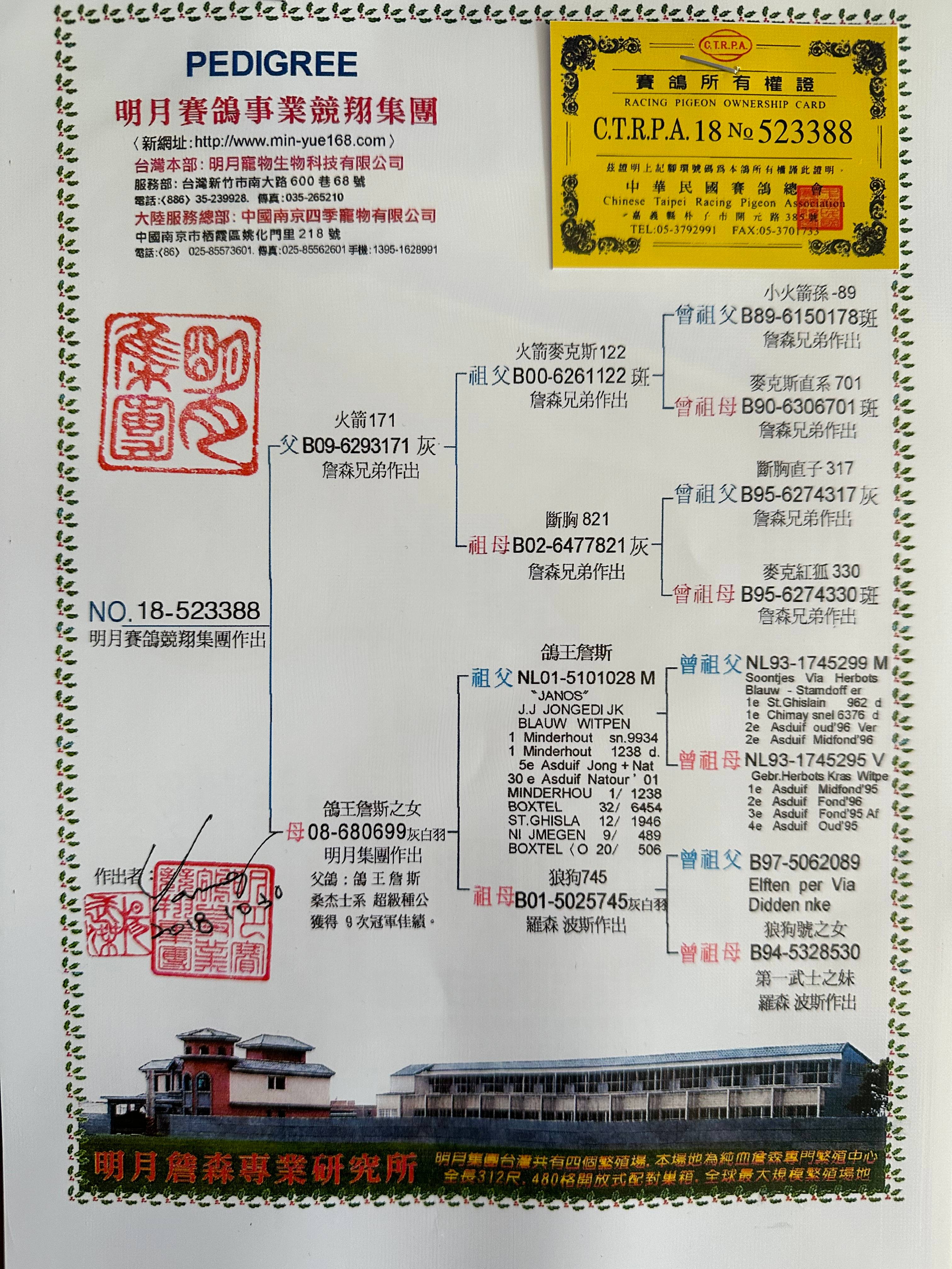 台湾明月赛鸽集团388