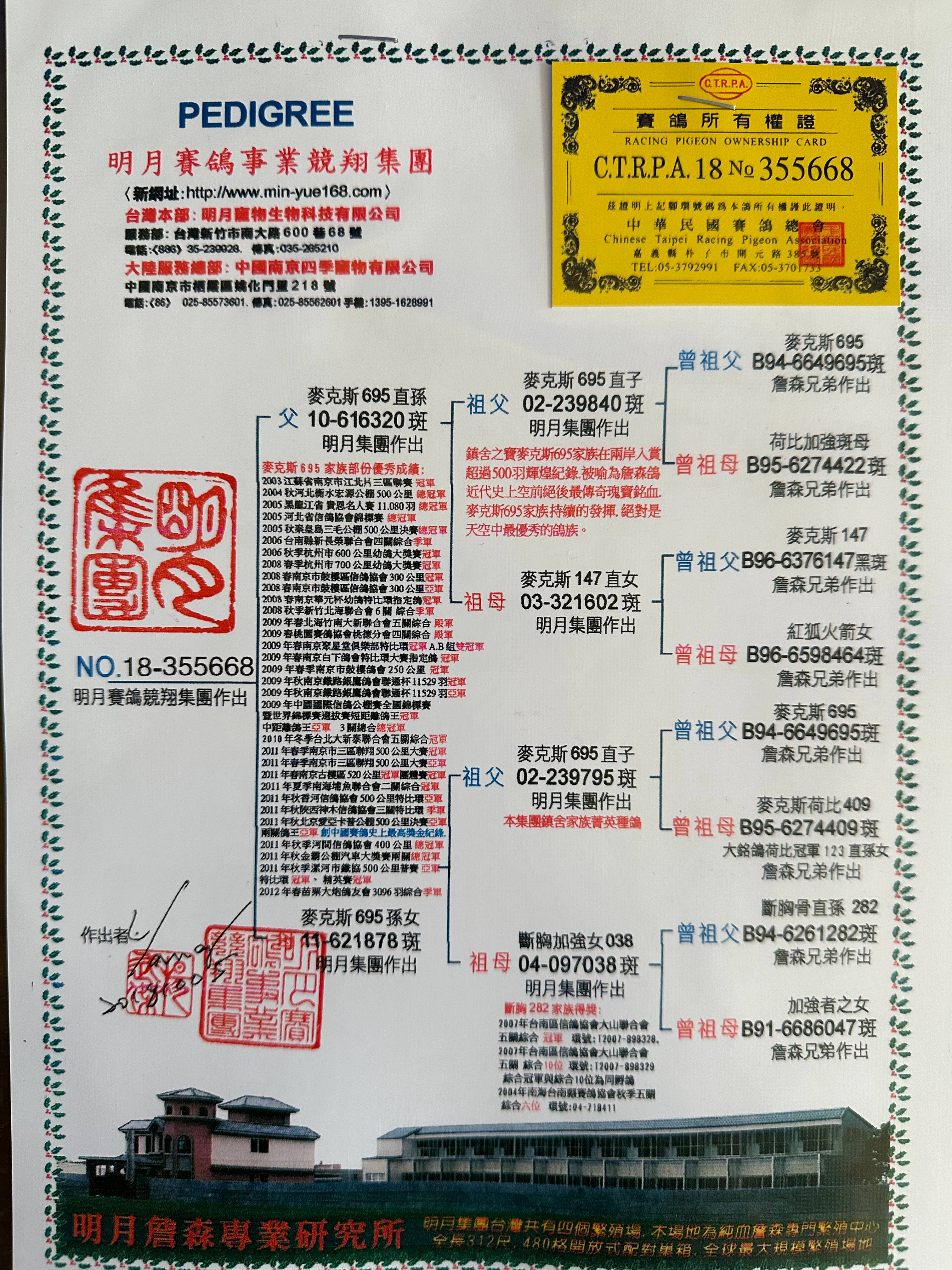 台湾明月赛鸽集团668