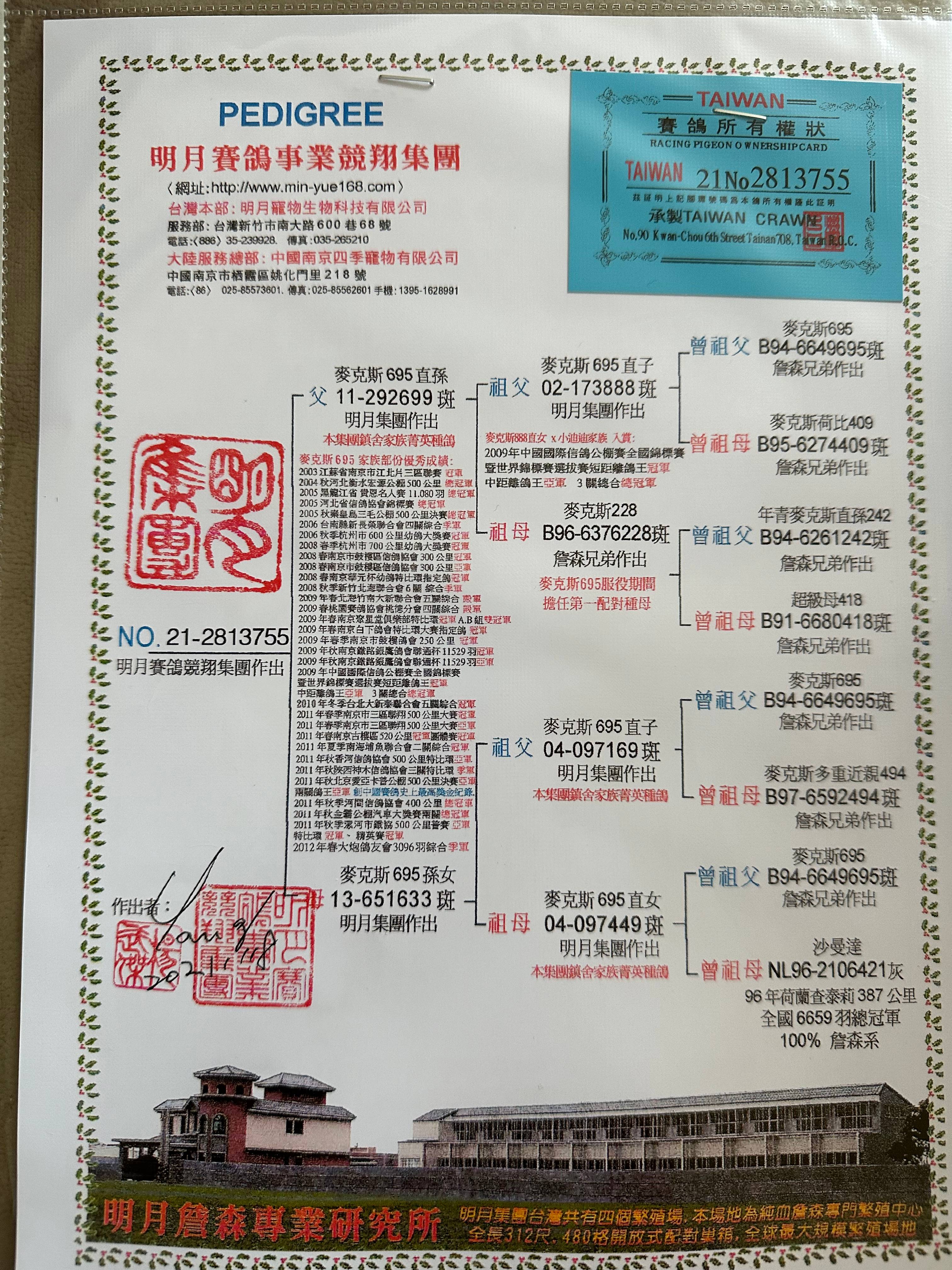 台湾明月赛鸽集团755