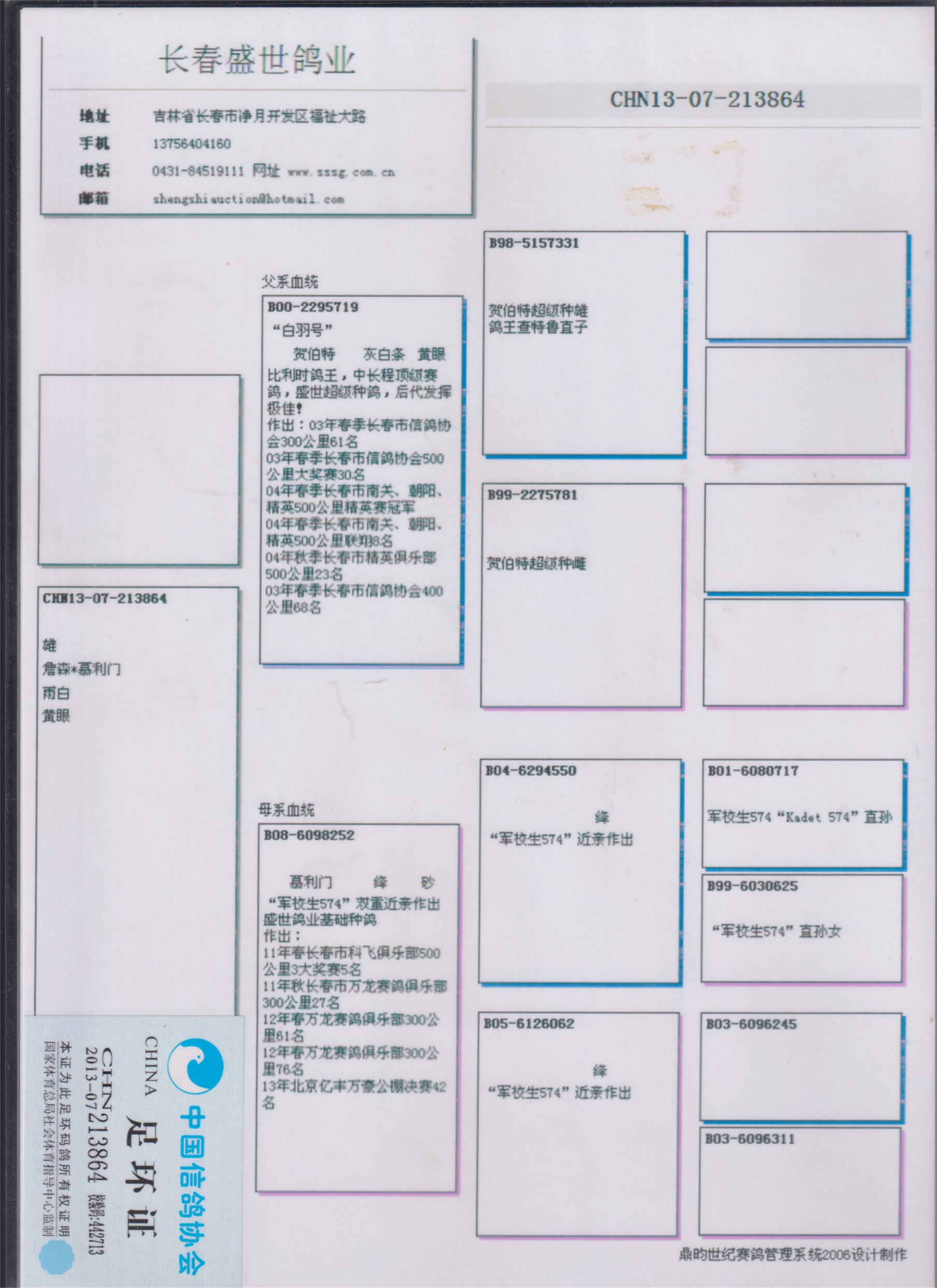 天翔鸽业图片