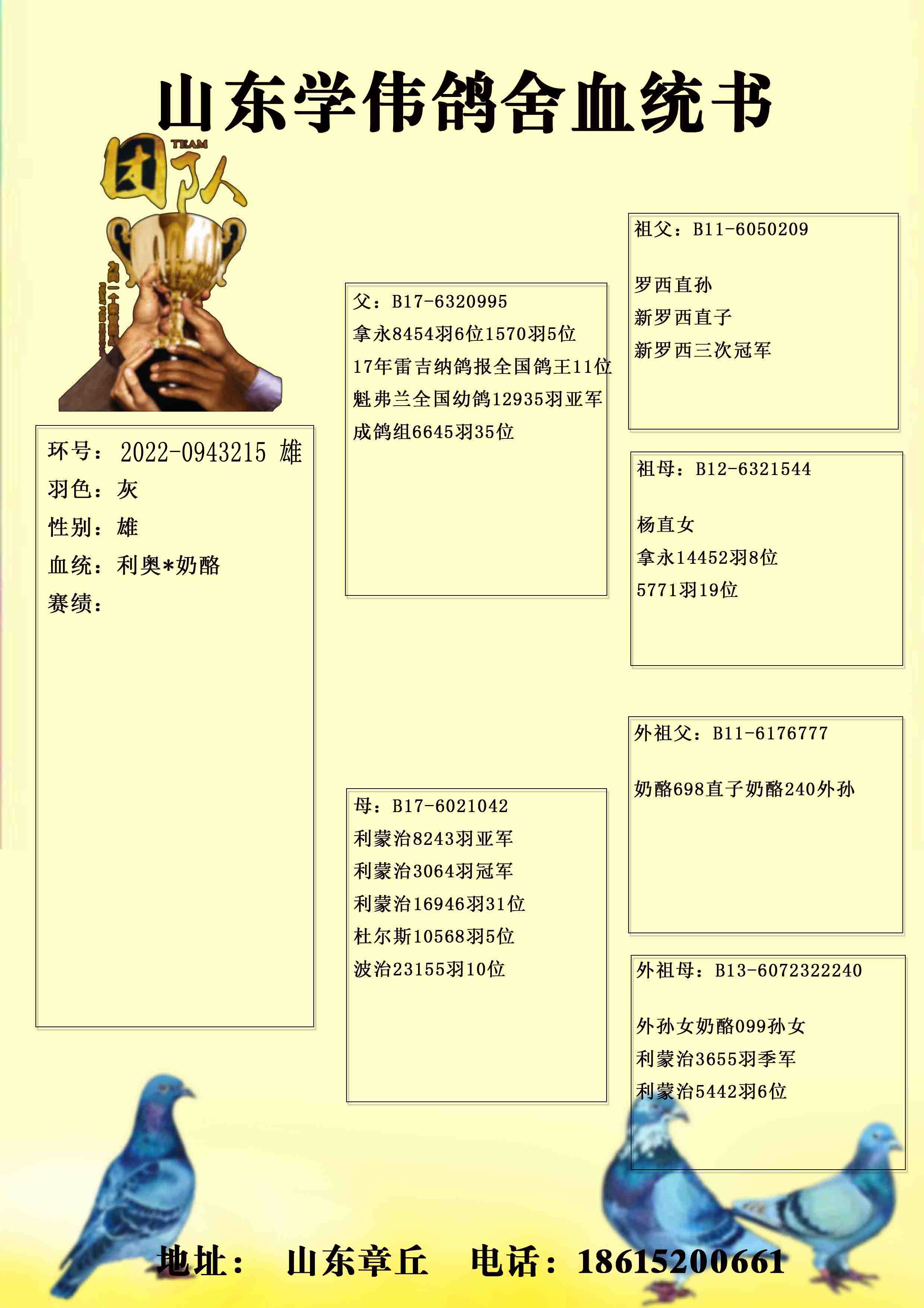 信鸽在线拍卖平台