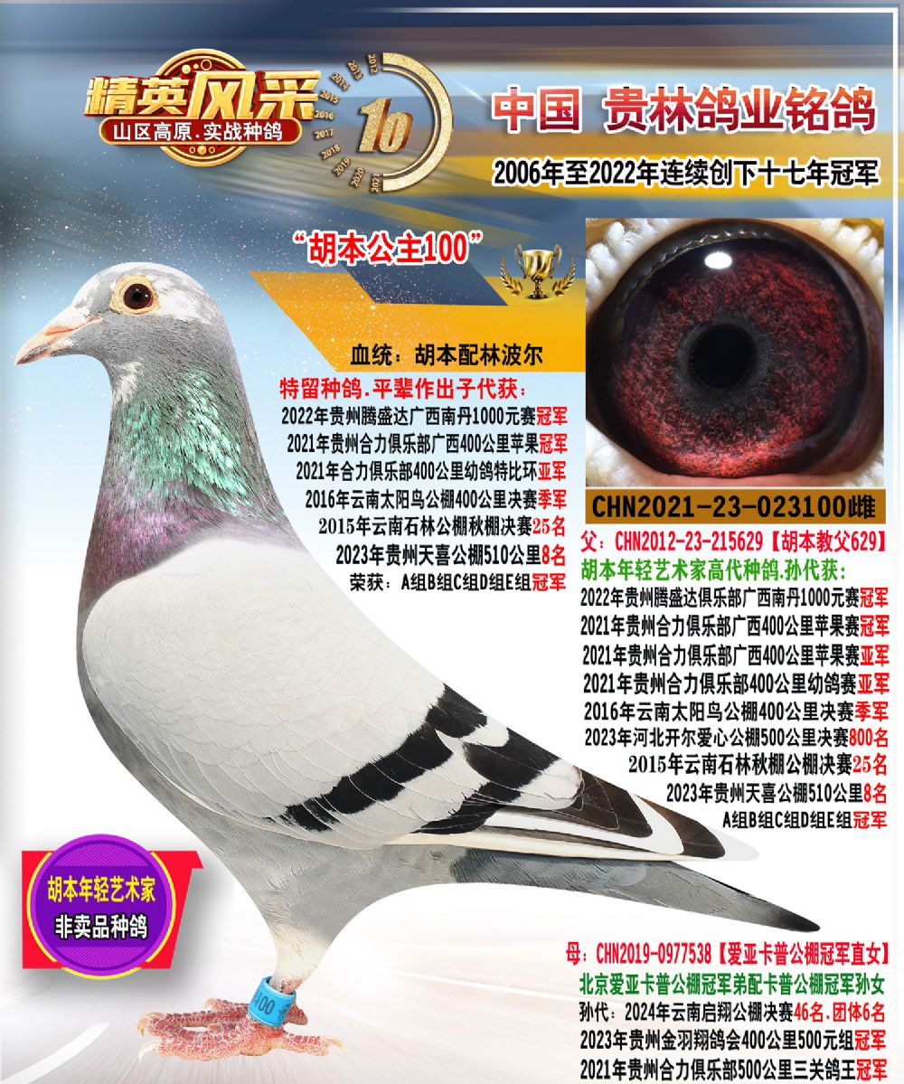 贵州贵林鸽业 - 中信网铭鸽展厅