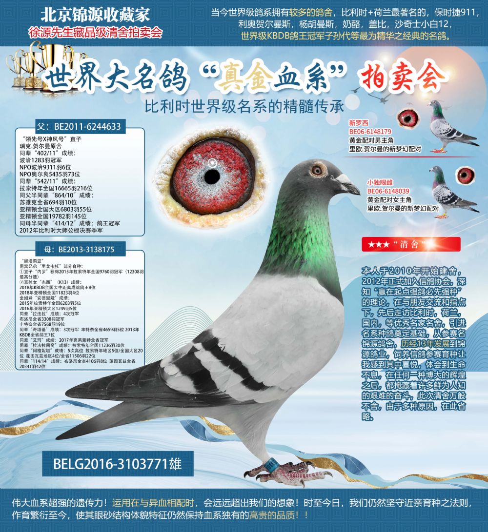 壹禾拍卖 烟雨阁 - 中信网铭鸽展厅