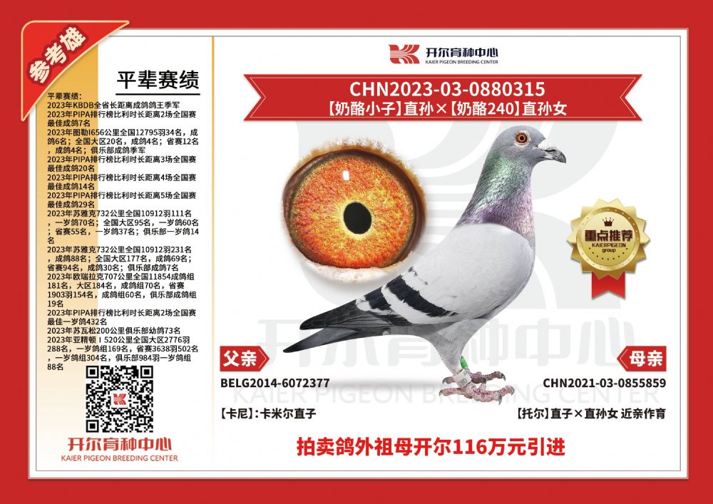开尔鸽业 - 中信网铭鸽展厅