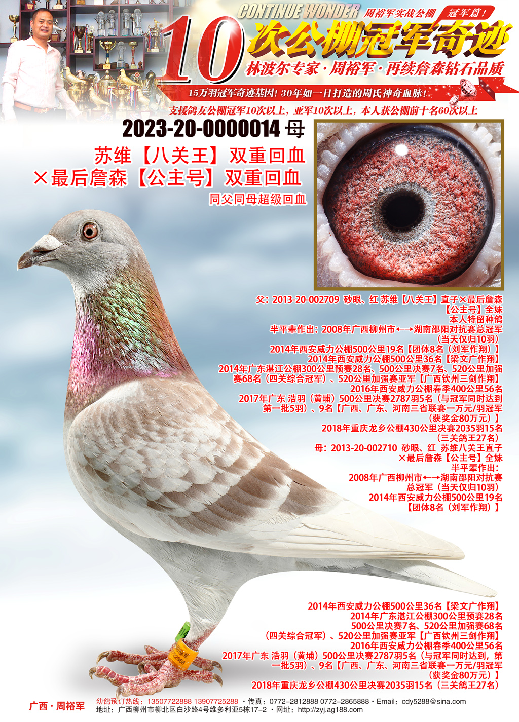 广西周裕军 - 中信网铭鸽展厅