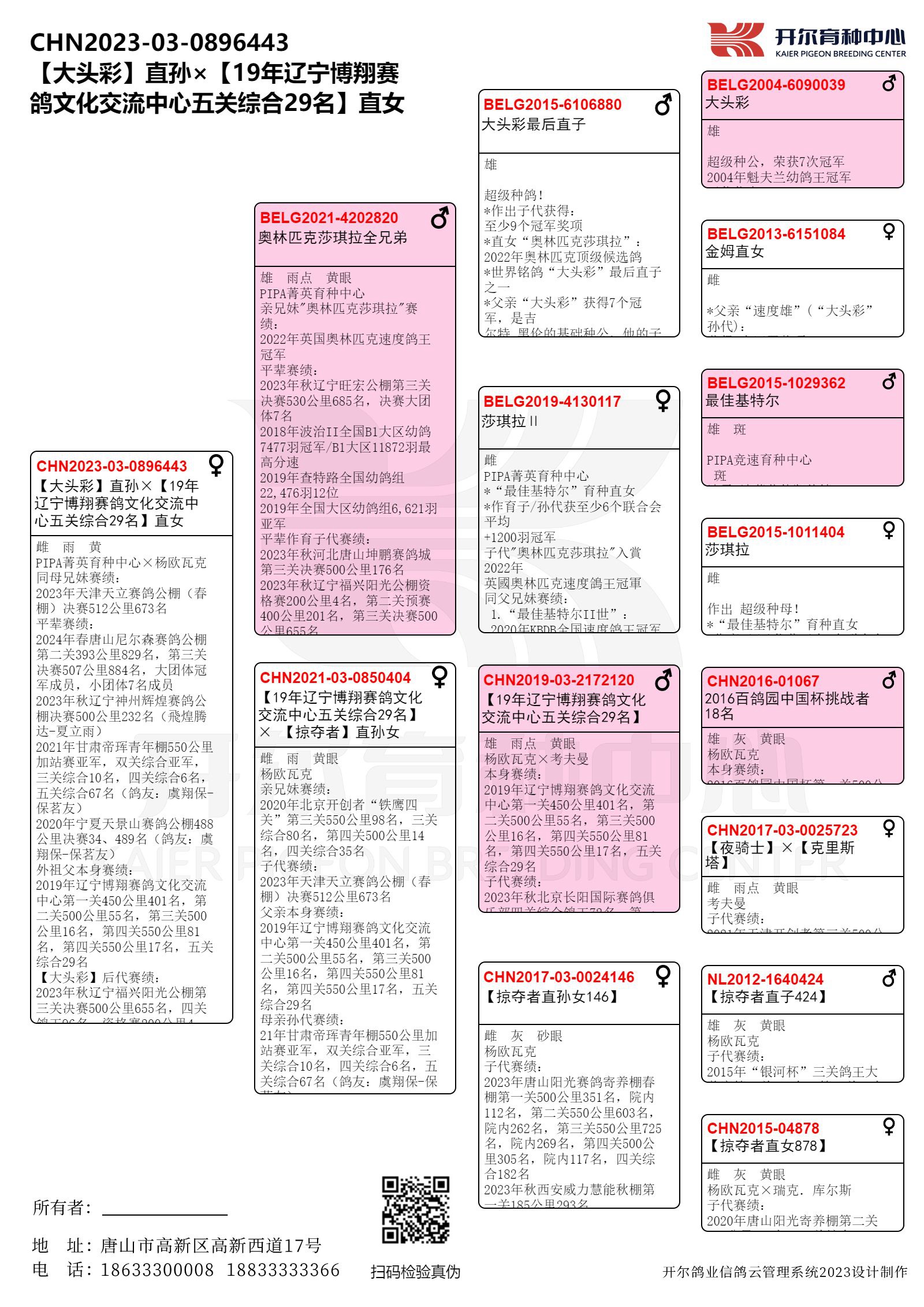 开尔鸽业 - 中信网铭鸽展厅