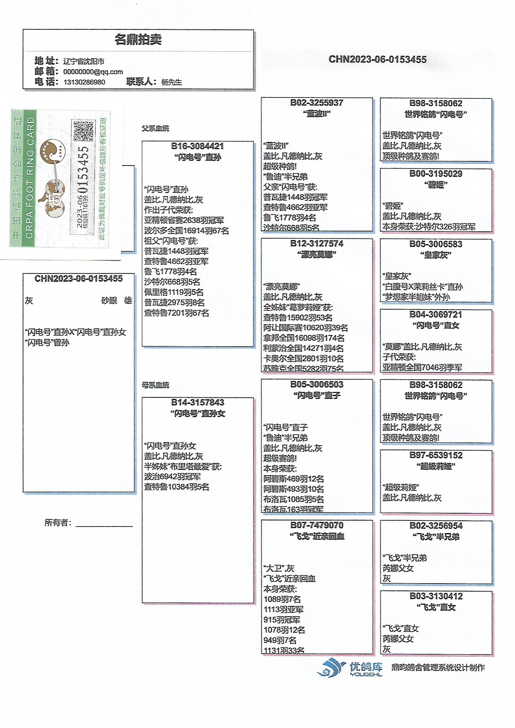 信鸽在线拍卖平台 