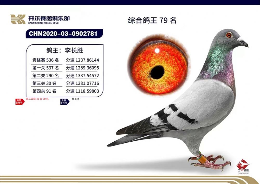 北京信鸽文化传媒