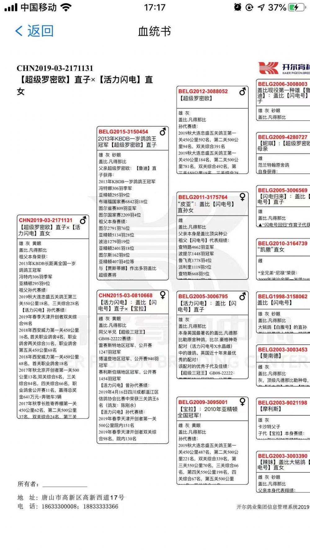 北京王永贵名鸽展厅图片