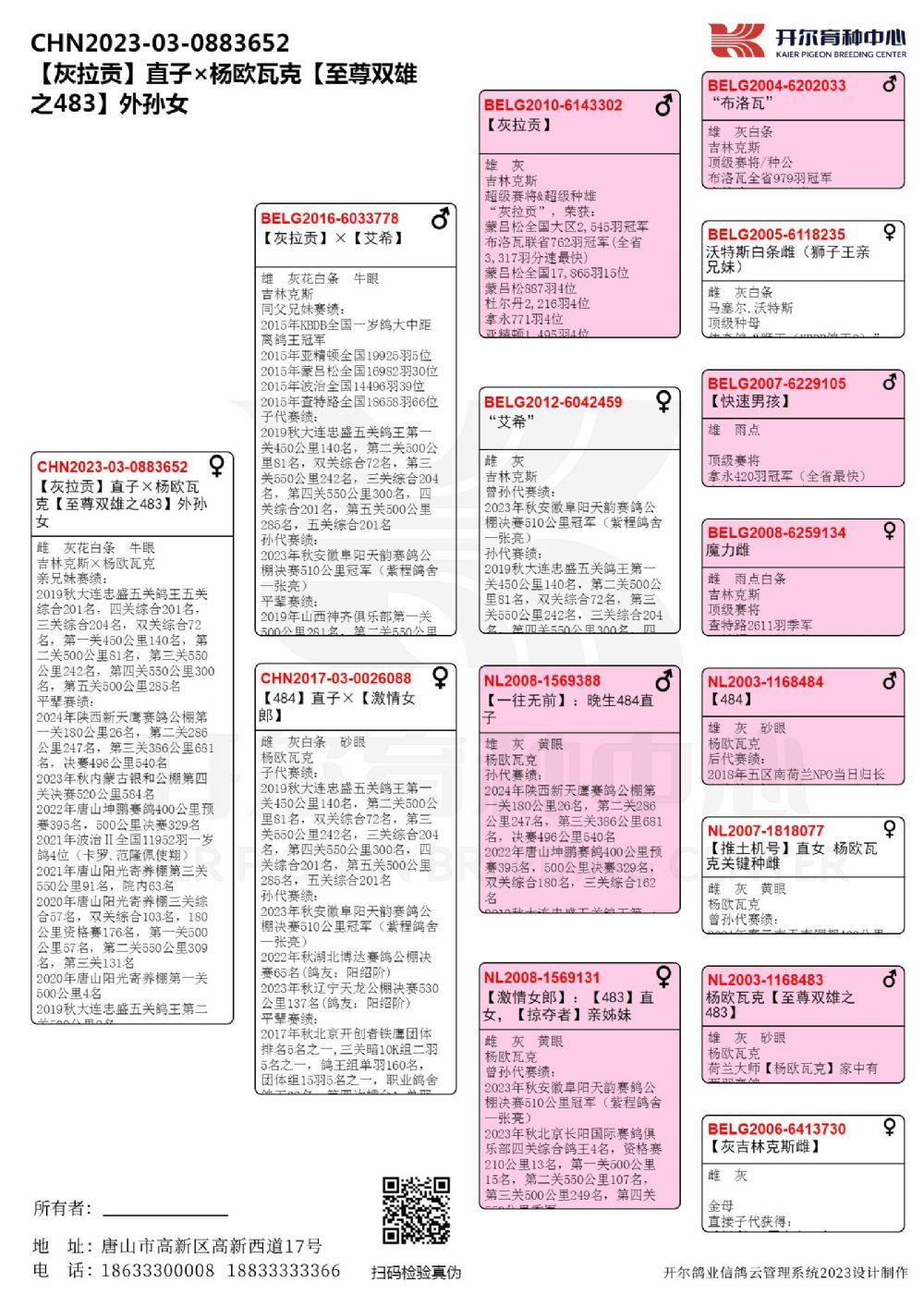 开尔鸽业 - 中信网铭鸽展厅