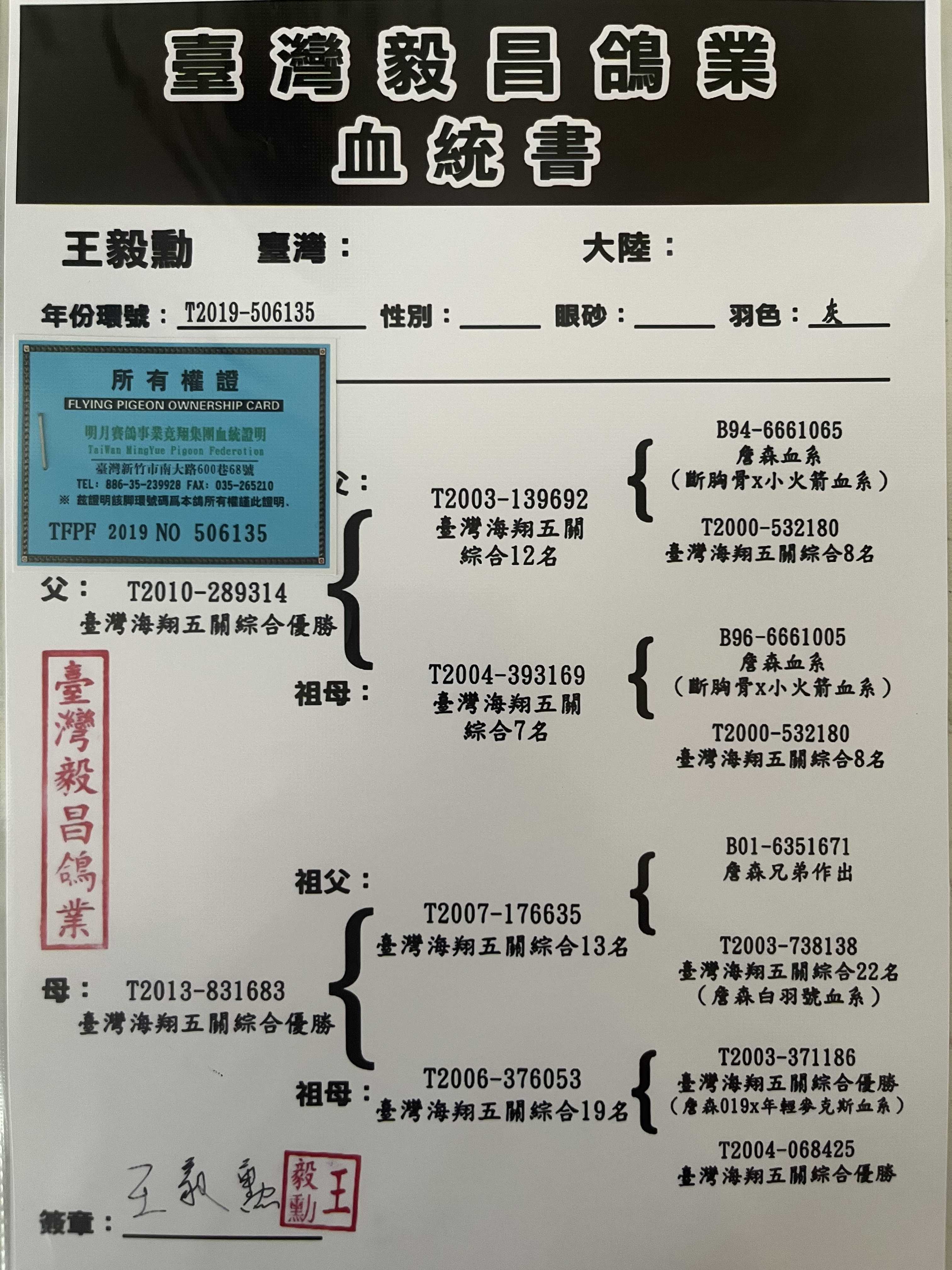 信鸽在线拍卖平台 - 中国信鸽信息网