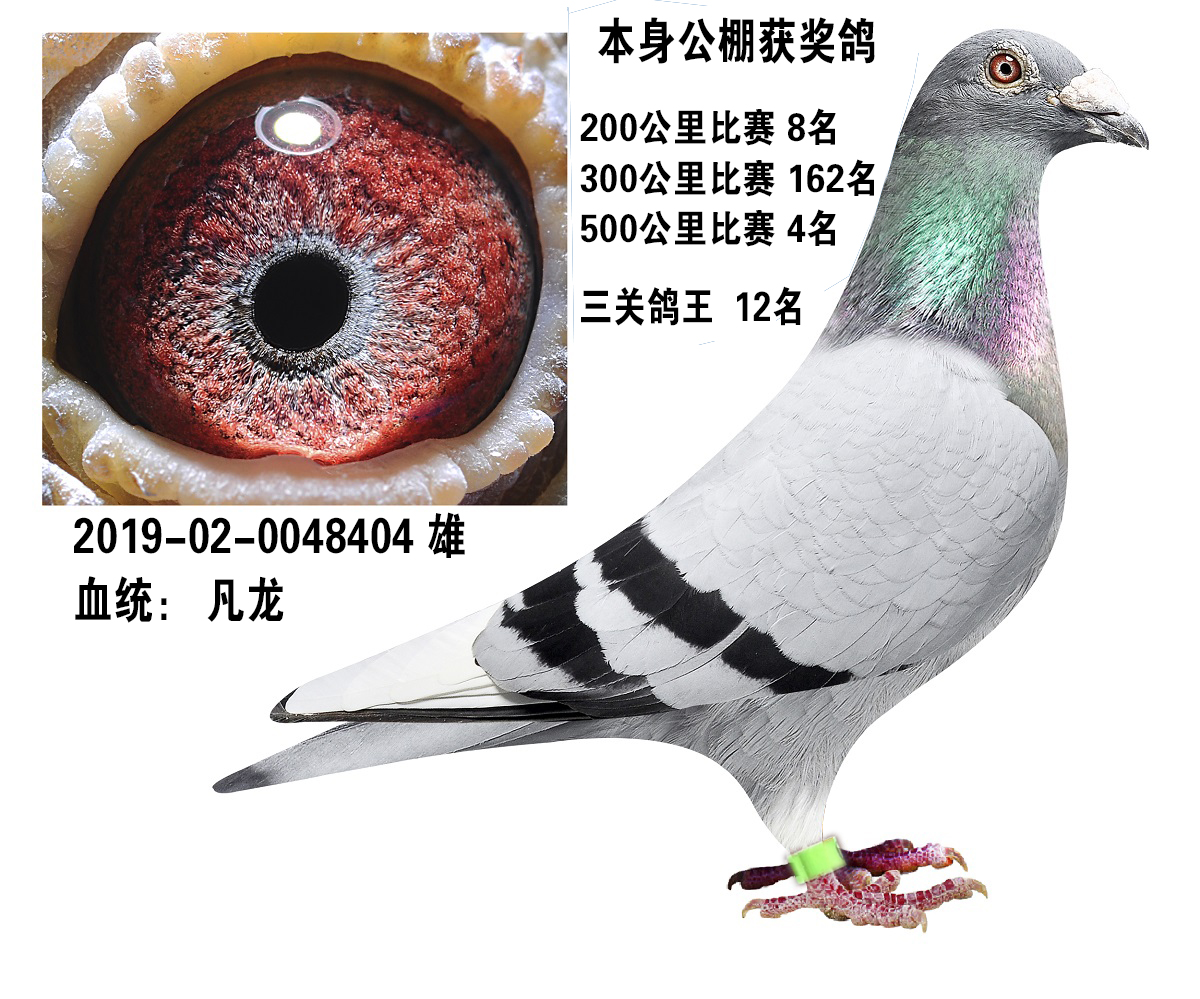 1200_999gif 动态图 动图