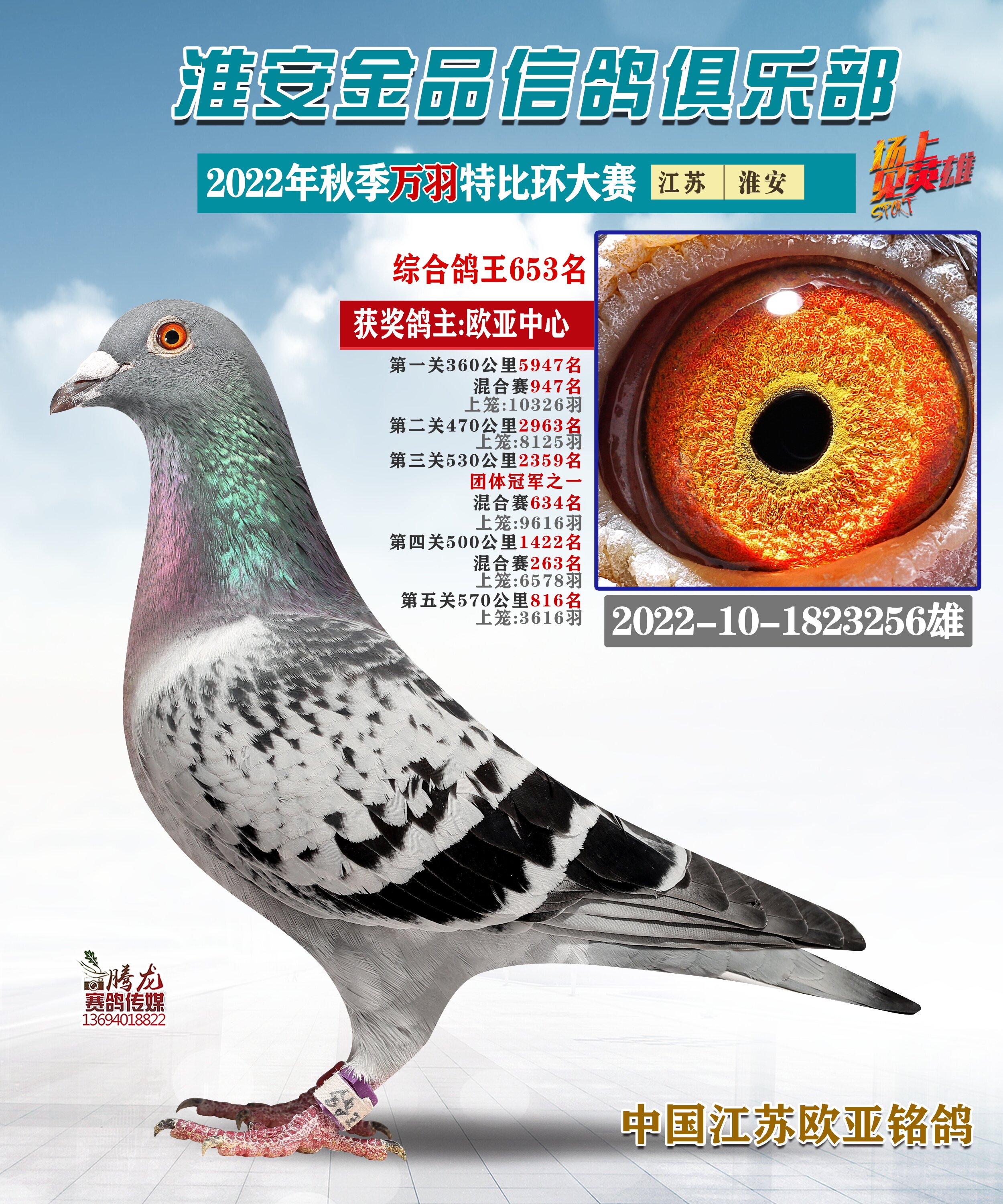 利奥鸽王杨851波治全国5名x003博尔特