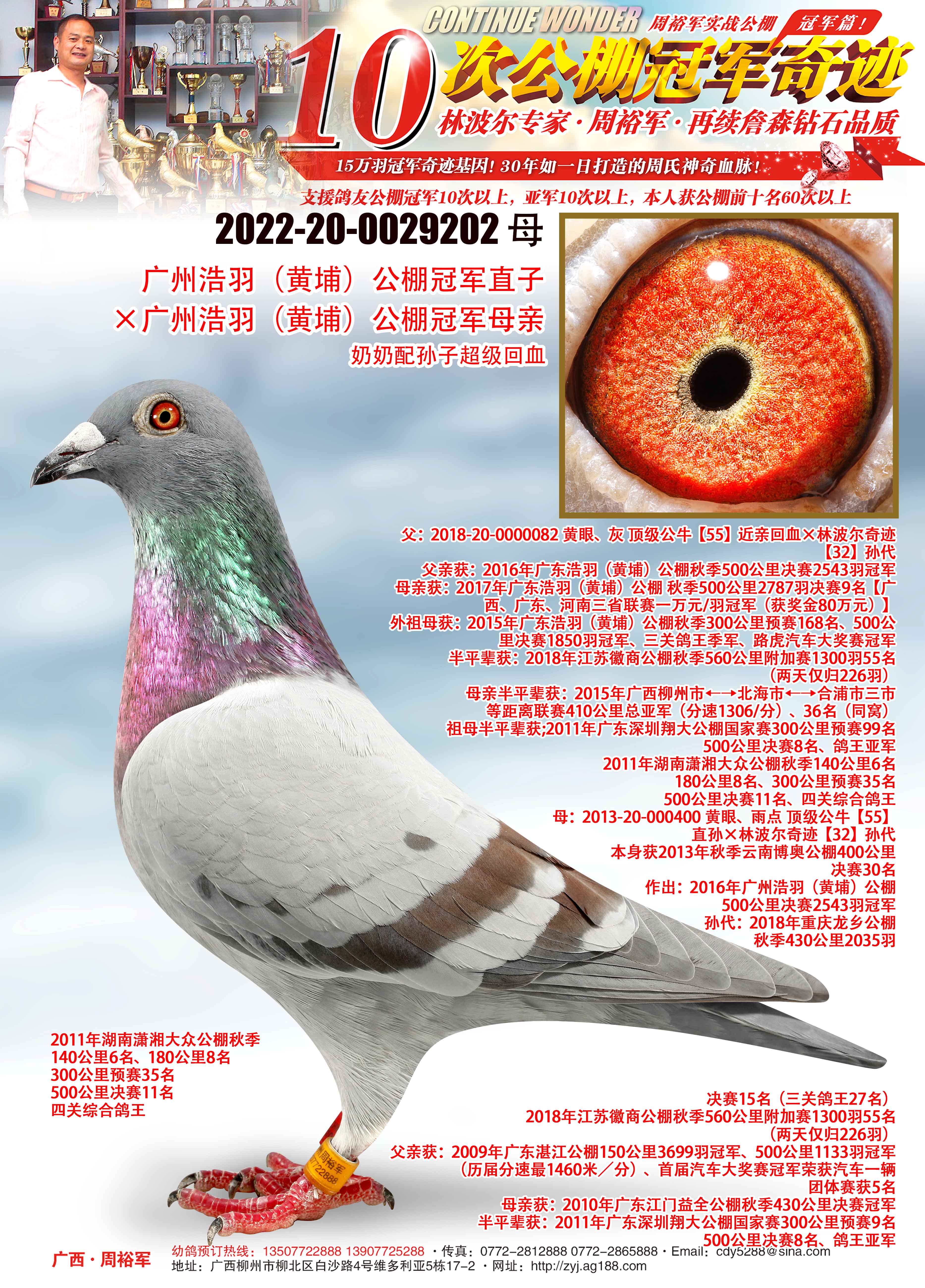 广西周裕军