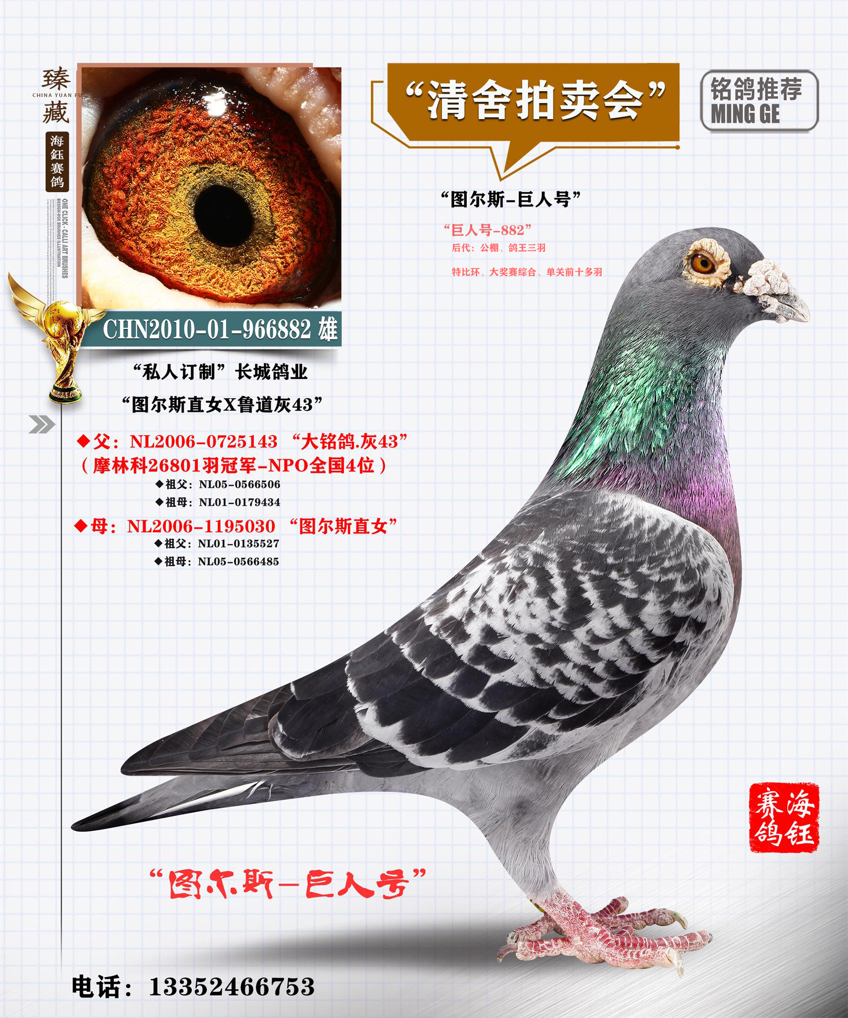 联盟国际 - 中信网铭鸽展厅
