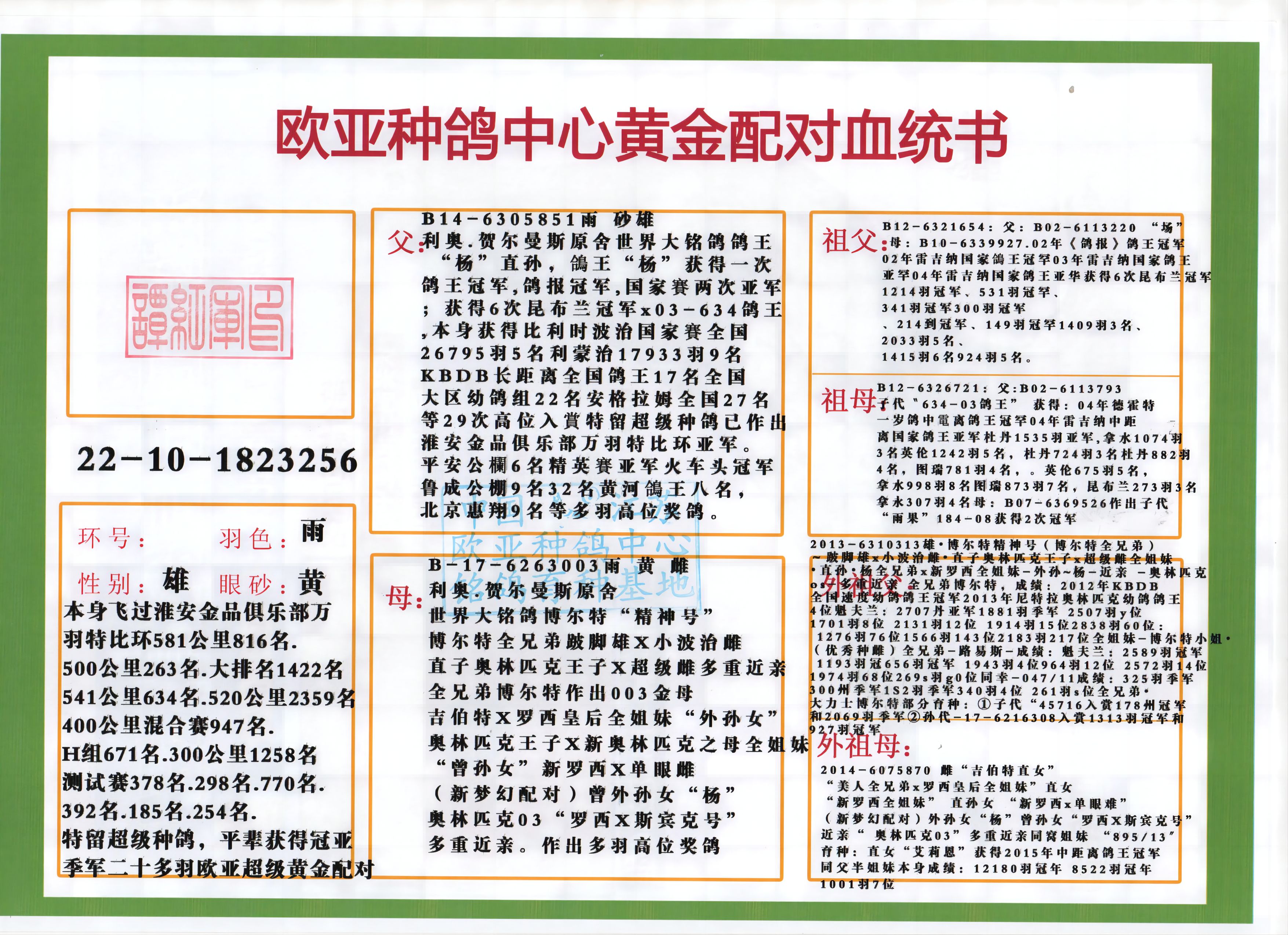 利奥鸽王杨851波治全国5名x003博尔特
