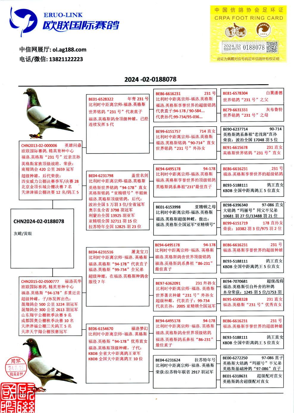 信鸽在线拍卖平台 - 中国信鸽信息网
