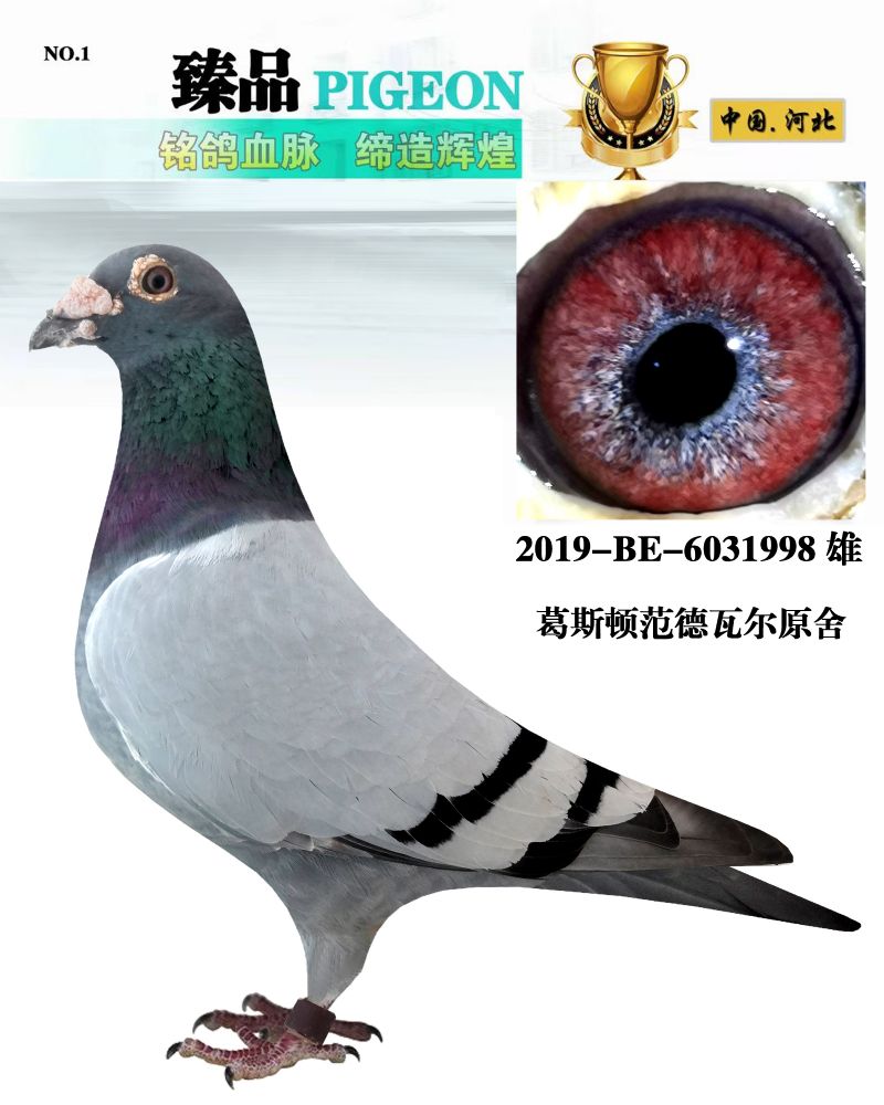 汇金信鸽传媒 - 中信网铭鸽展厅