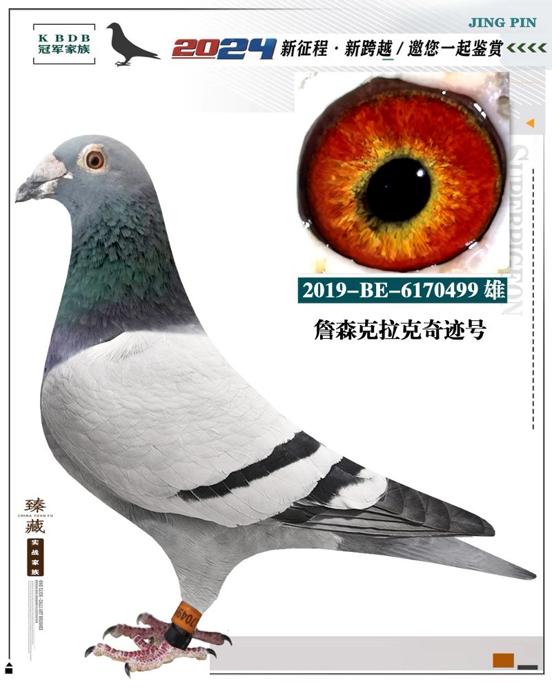 汇金信鸽传媒 - 中信网铭鸽展厅