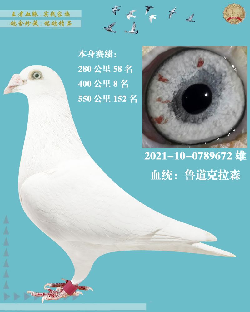 汇金信鸽传媒 - 中信网铭鸽展厅