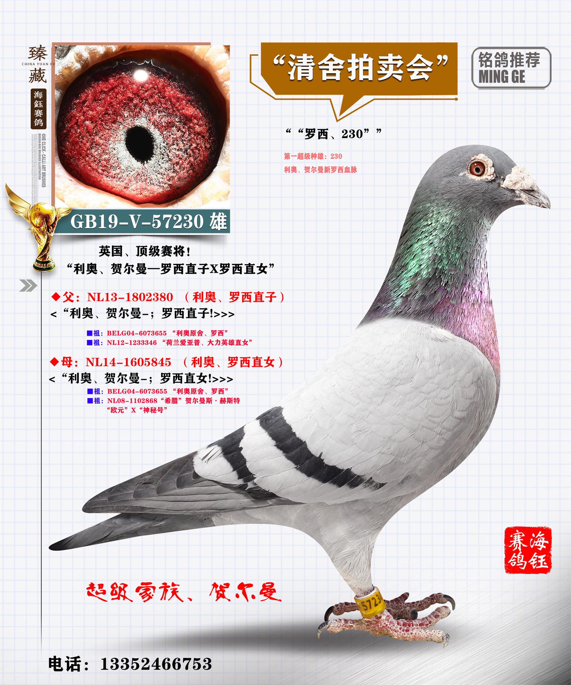 联盟国际 - 中信网铭鸽展厅