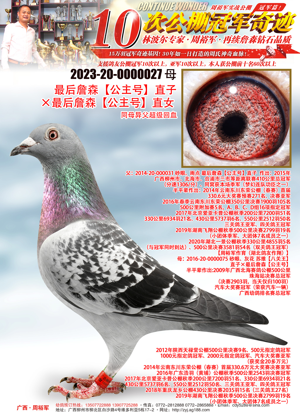 广西周裕军 - 中信网铭鸽展厅