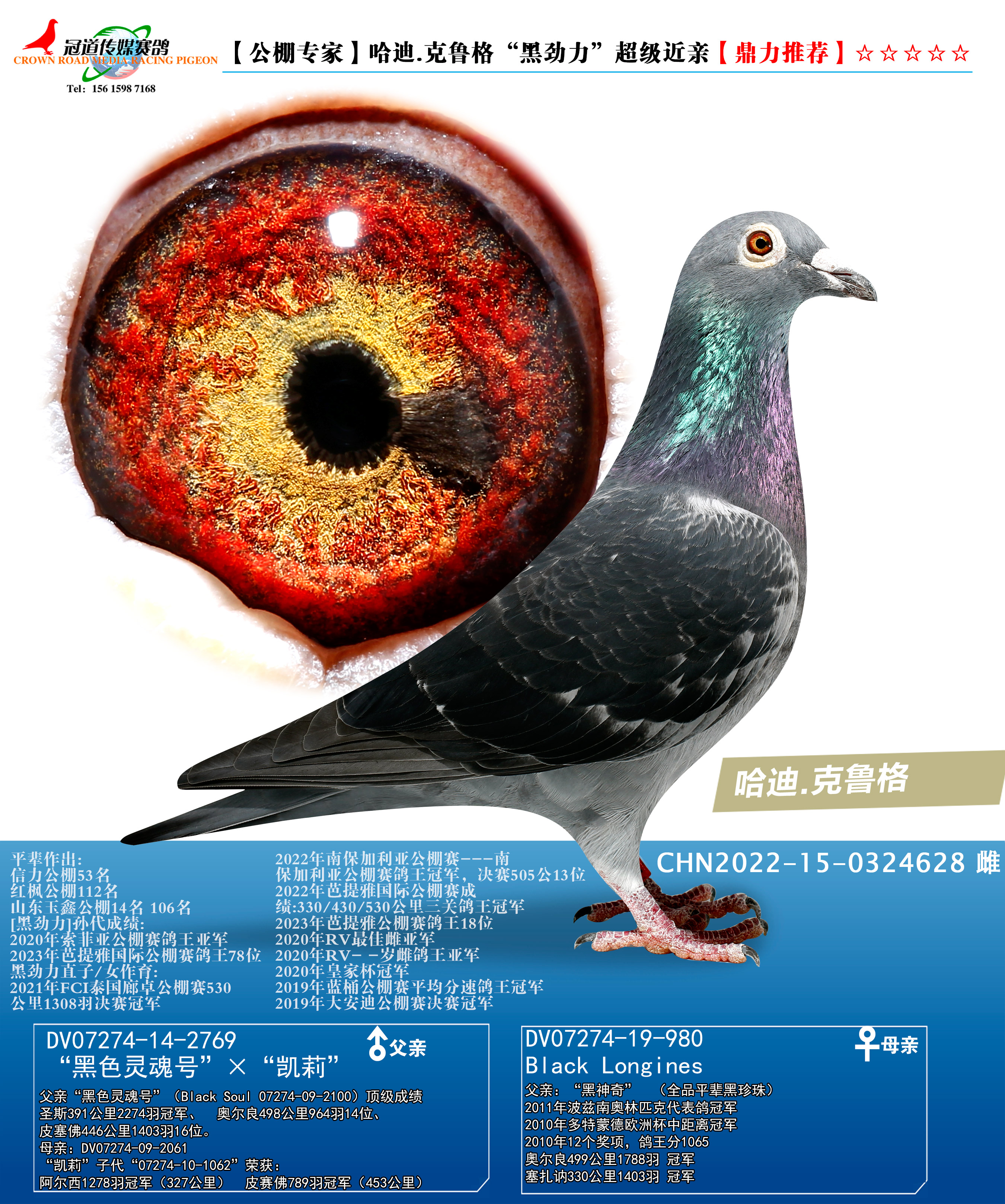 冠道传媒 - 中信网铭鸽展厅