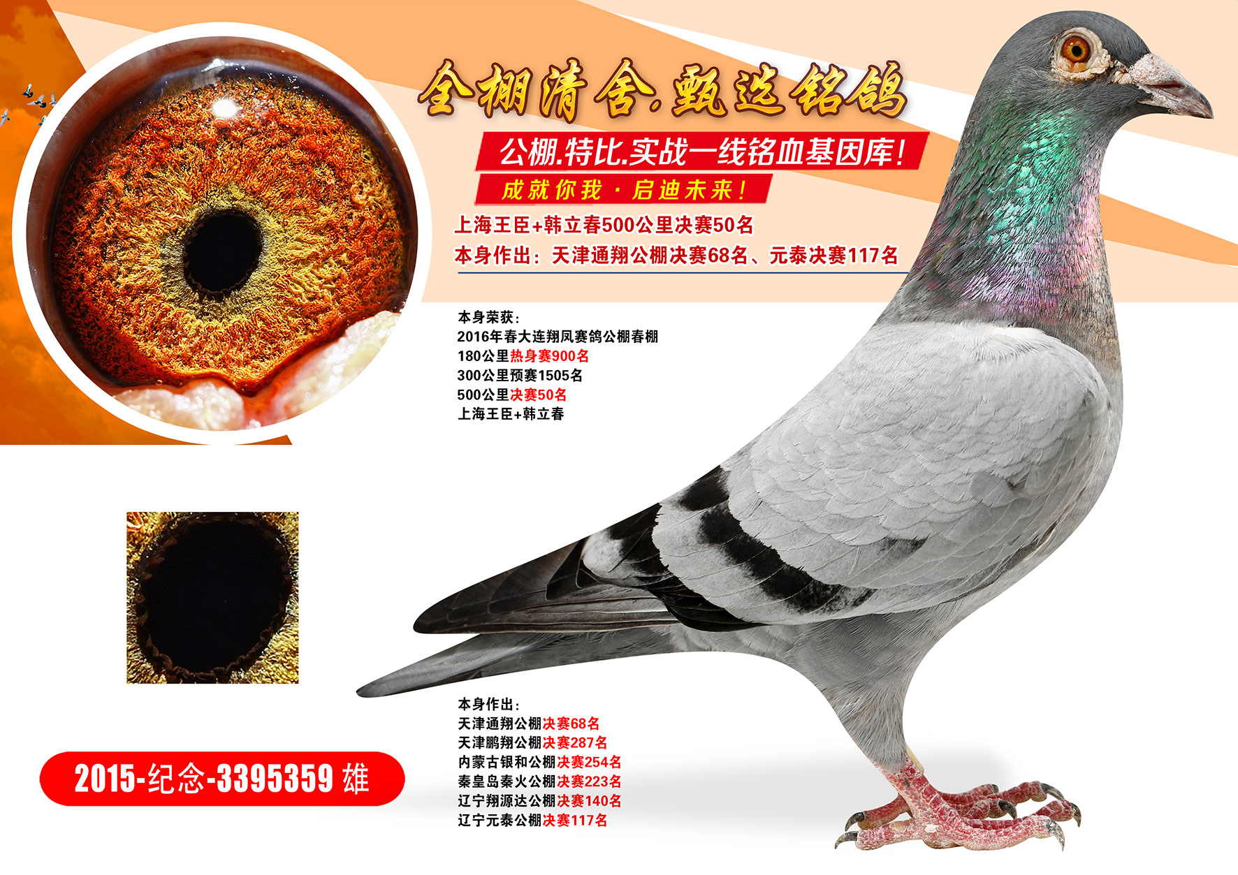 快递特别通知:夏季天气炎热不建议发快递,单羽拍卖价格超过1千元不