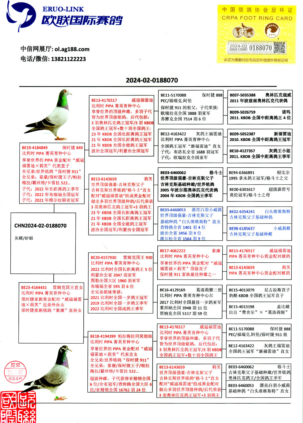信鸽在线拍卖平台 - 中国信鸽信息网