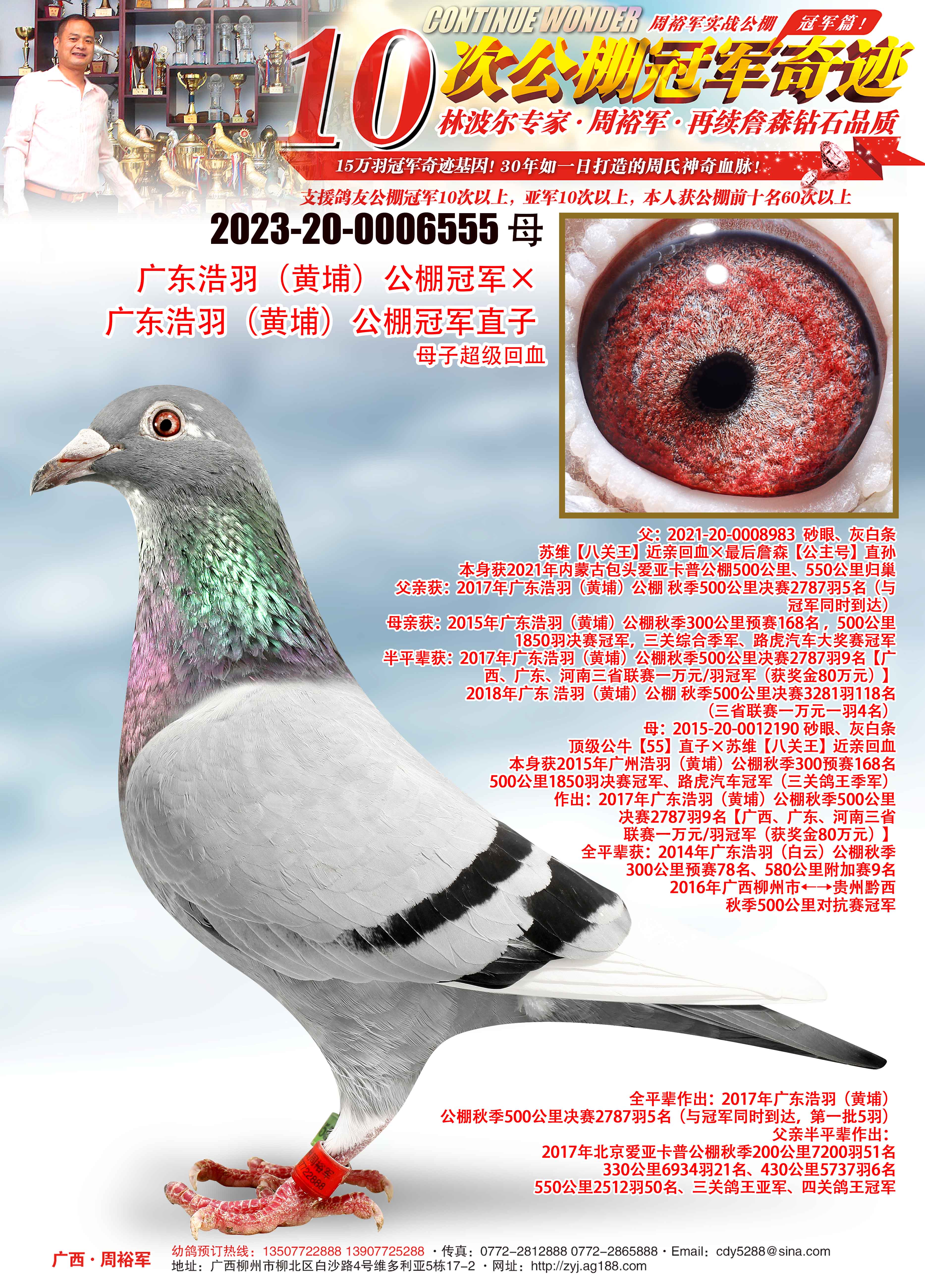 广西周裕军