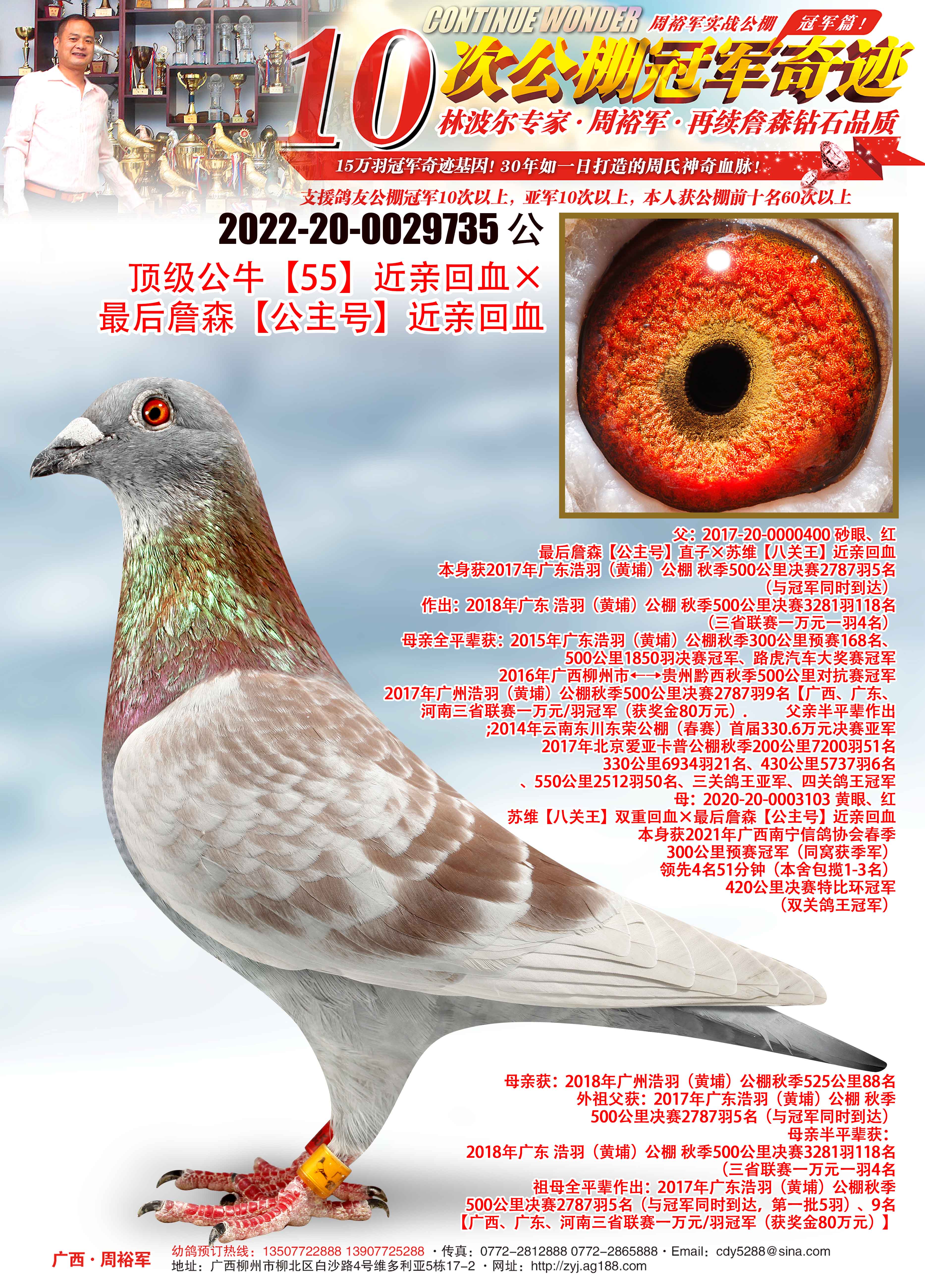 广西周裕军