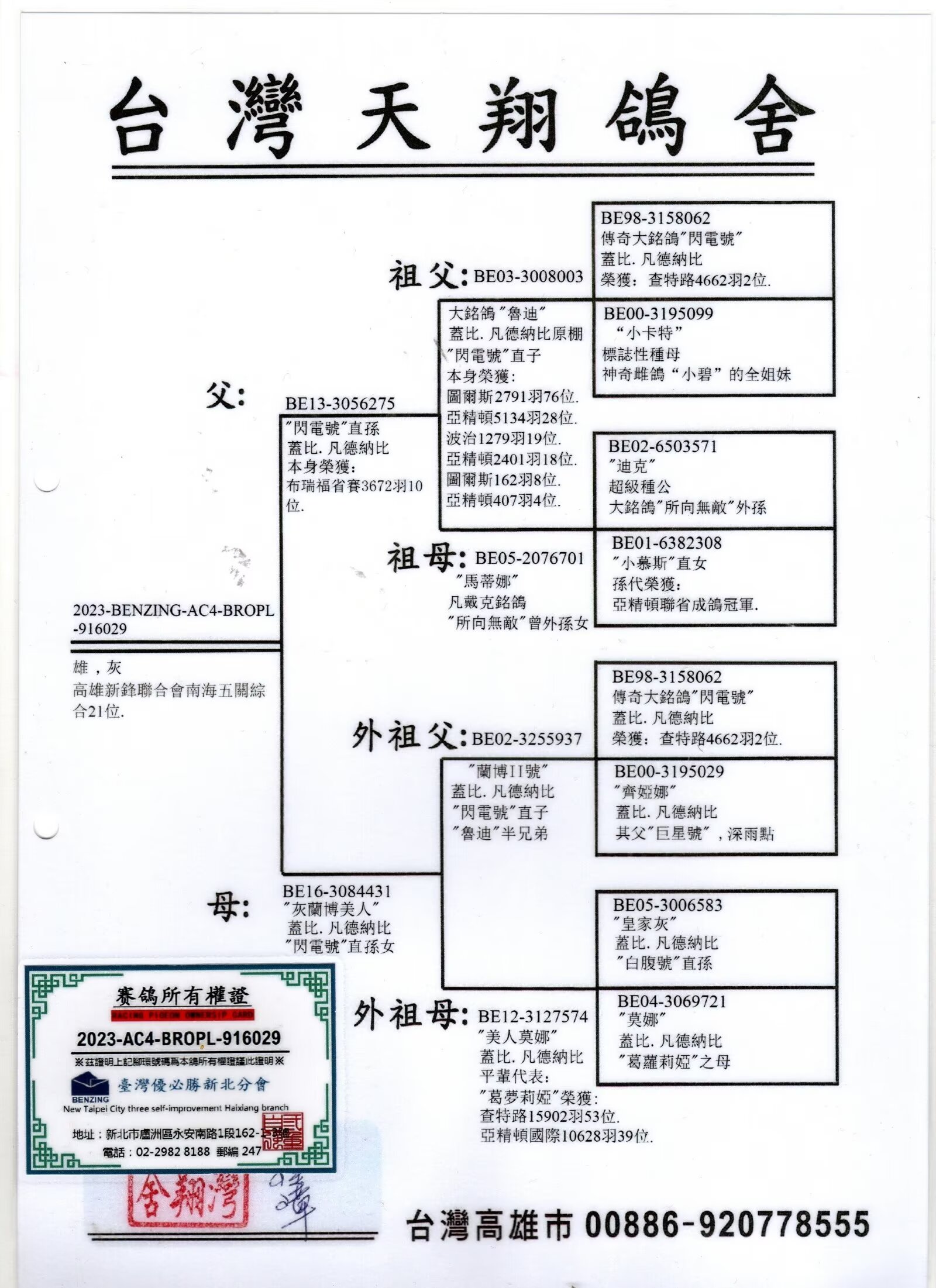 天翔鸽舍铭鸽展厅图片