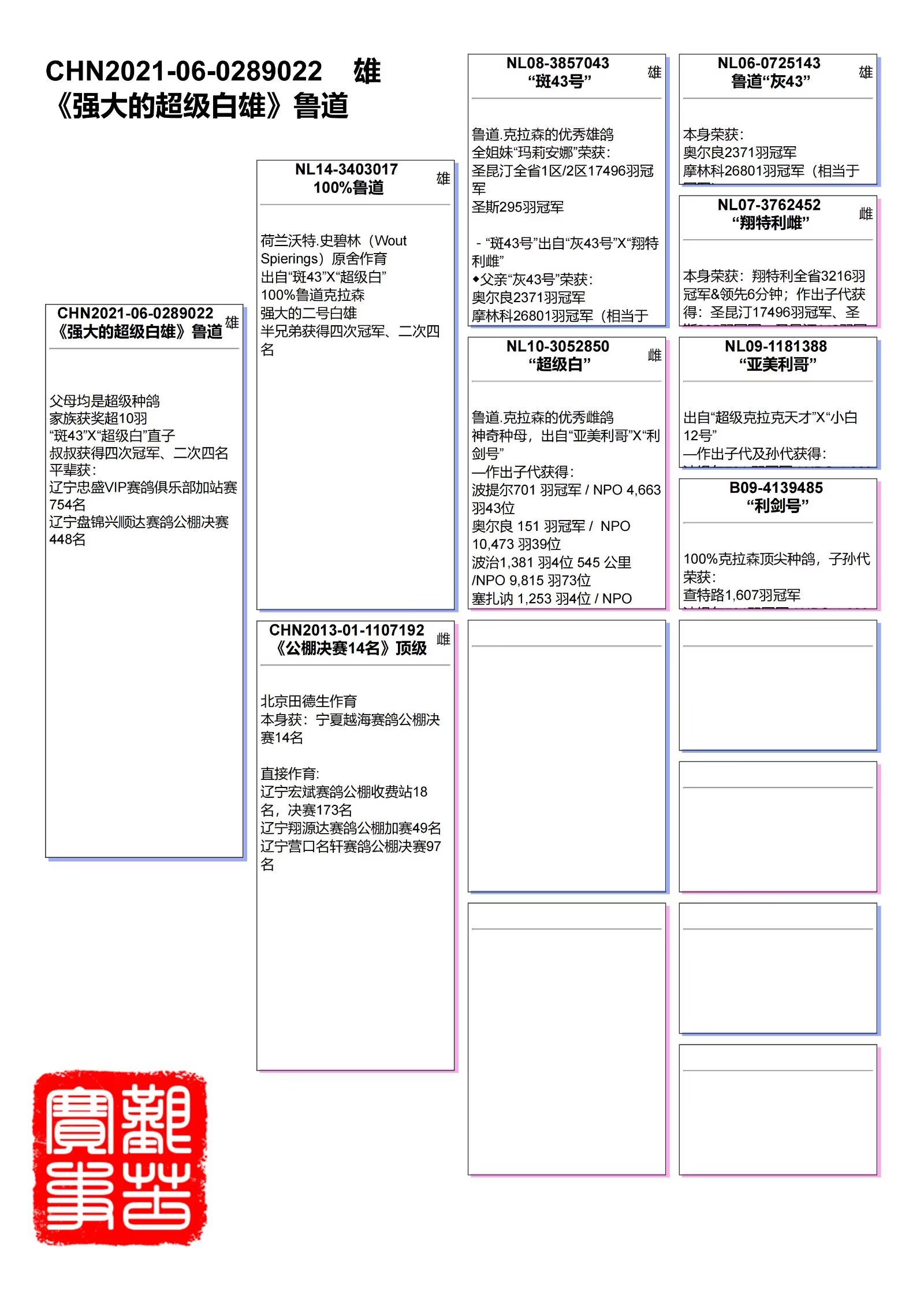 信鸽在线拍卖平台