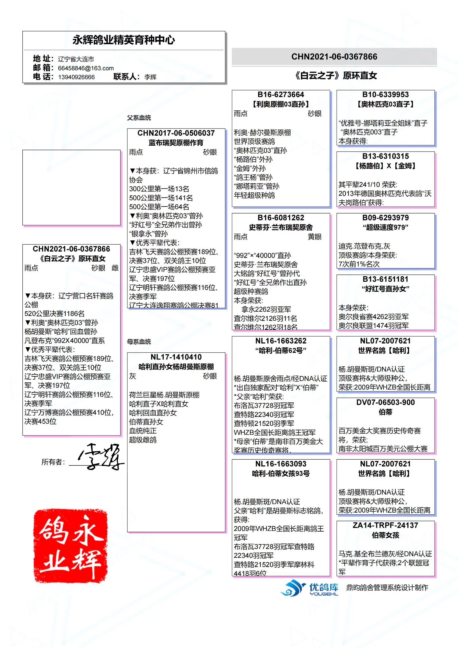 云南徐汝安铭鸽展厅图片